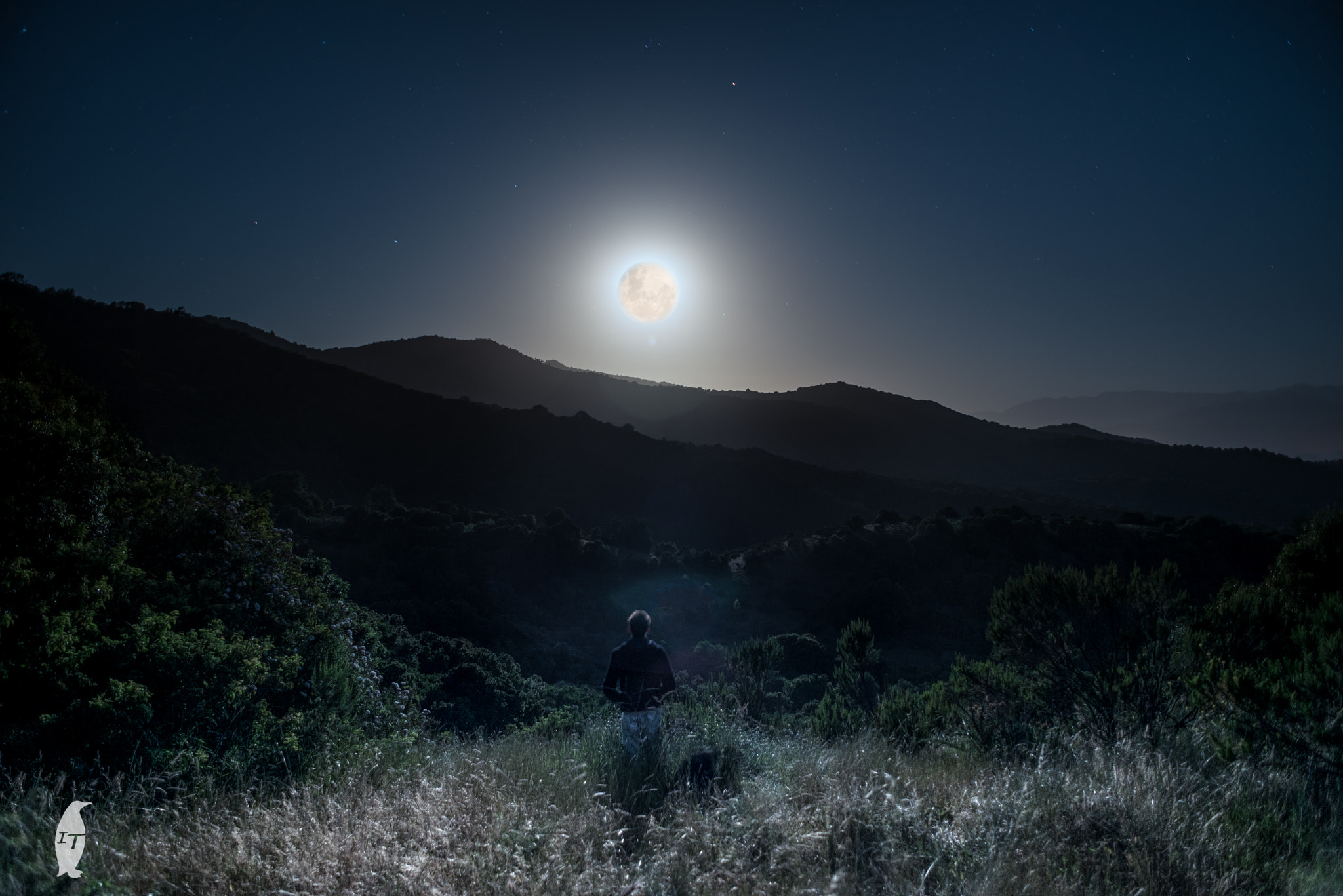 Nikon D750 + AF Nikkor 24mm f/2.8 sample photo. Fixed photography