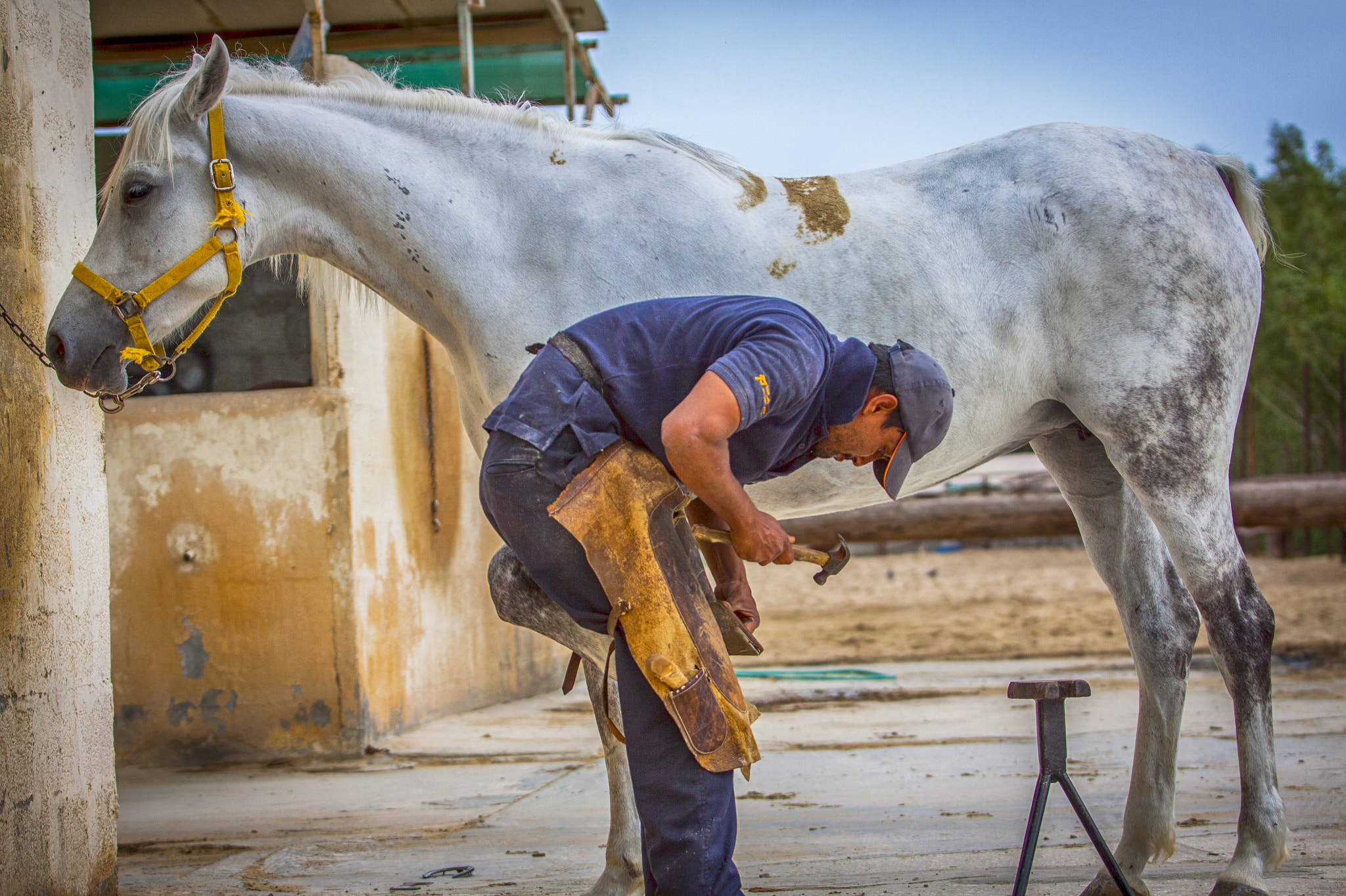 Canon EF 70-200mm F2.8L USM sample photo. Horse shoe maker photography