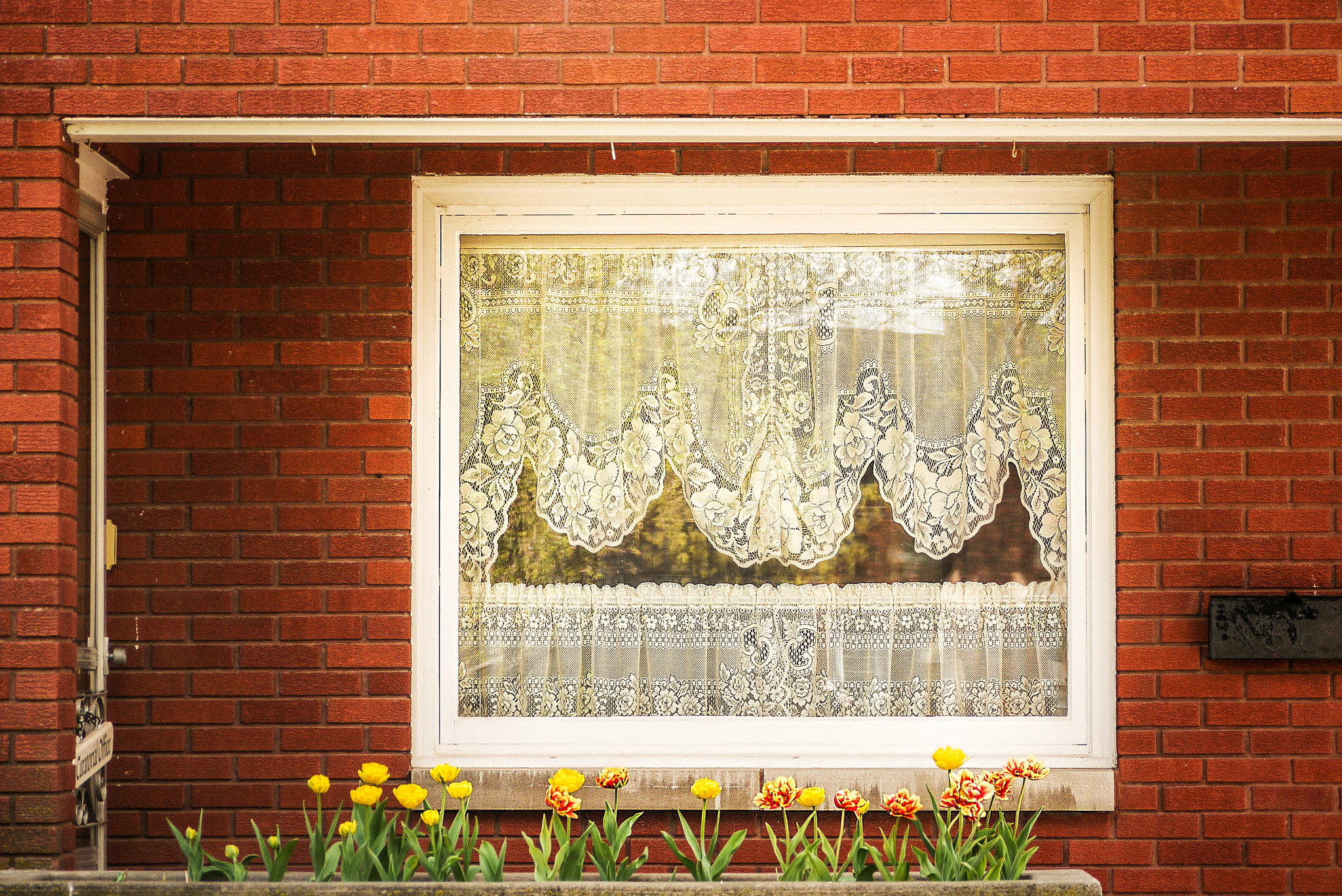 Panasonic Lumix G Vario 45-200mm F4-5.6 OIS sample photo. Brick, lace & tulips photography