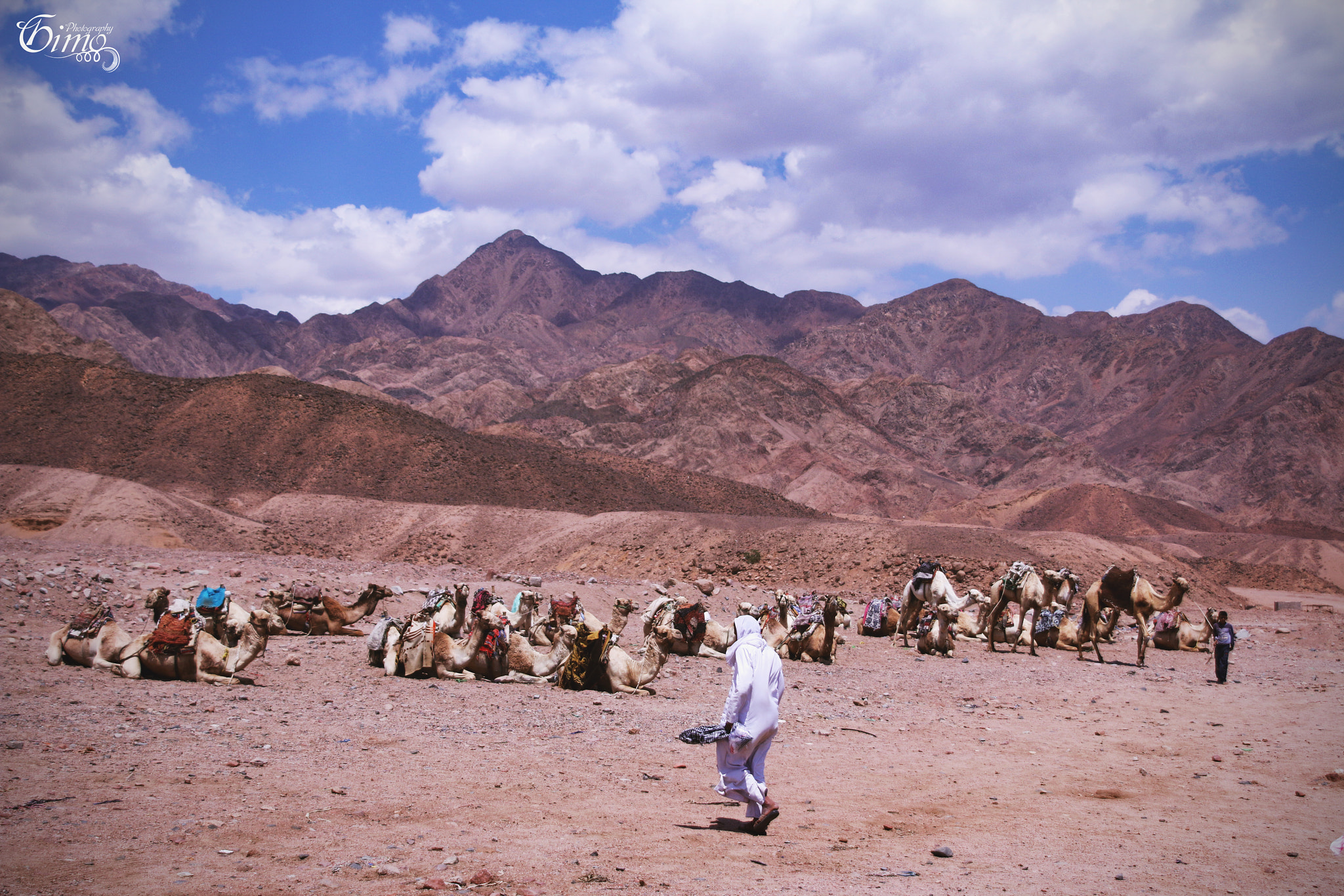 Canon EOS 70D + Canon EF 400mm f/2.8L sample photo. Epic of desert photography