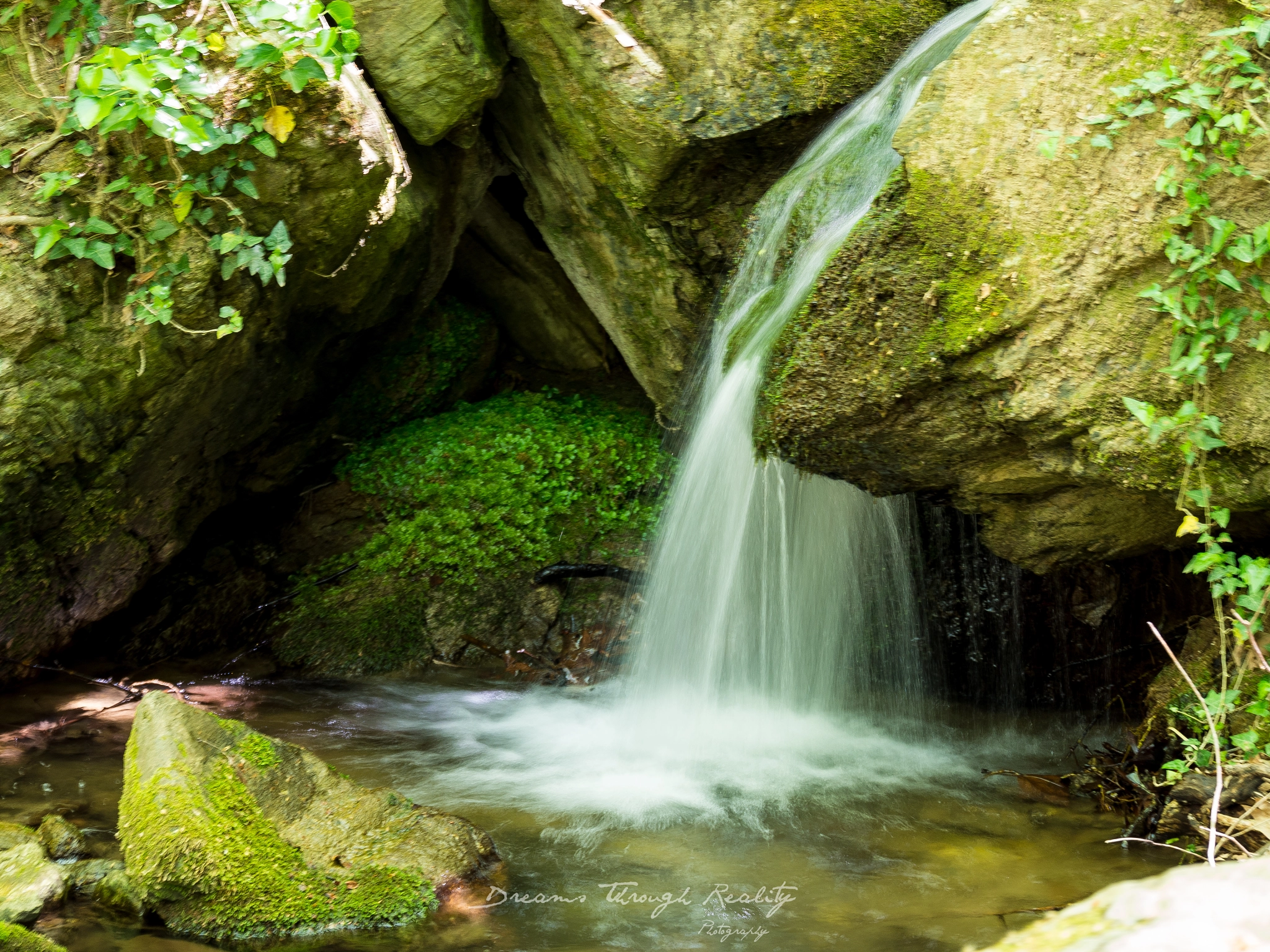 Olympus OM-D E-M10 sample photo. Little oasis photography