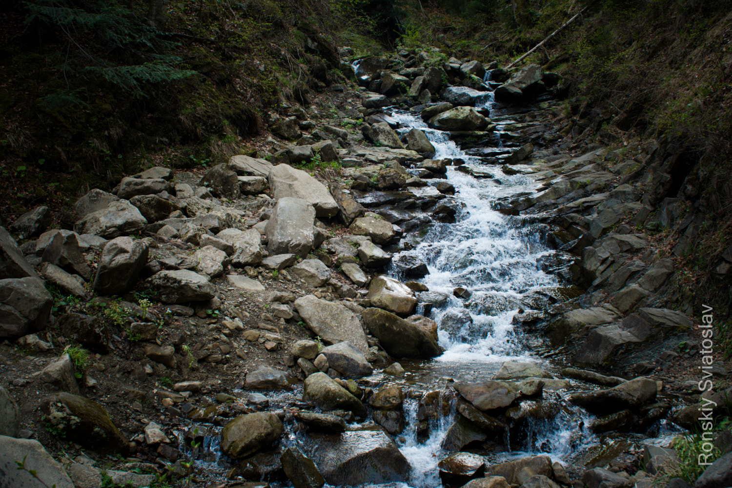 AF Zoom-Nikkor 28-85mm f/3.5-4.5 sample photo. Carpathians - stream photography