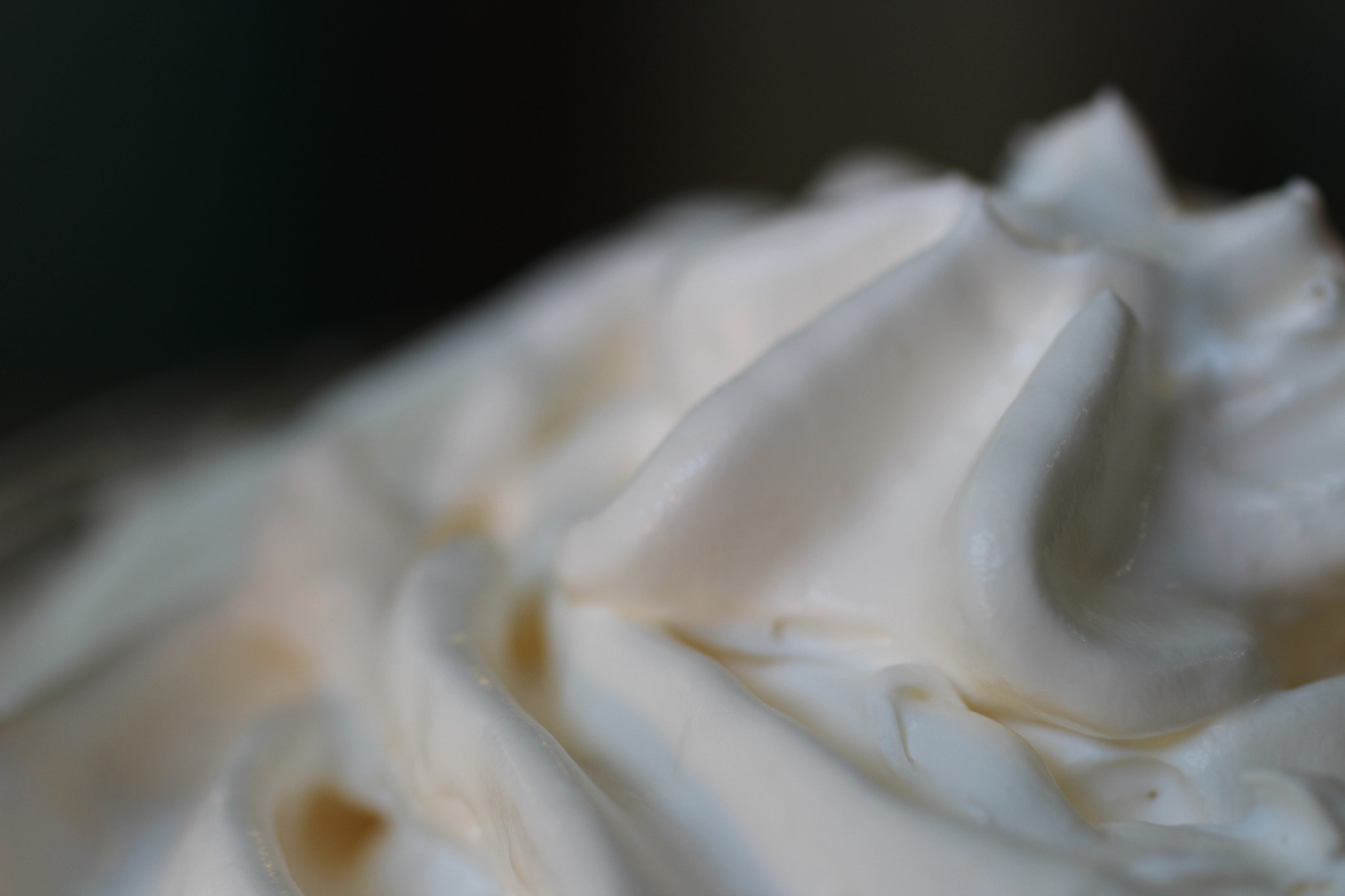 Canon EF 50mm F2.5 Macro sample photo. Creme photography