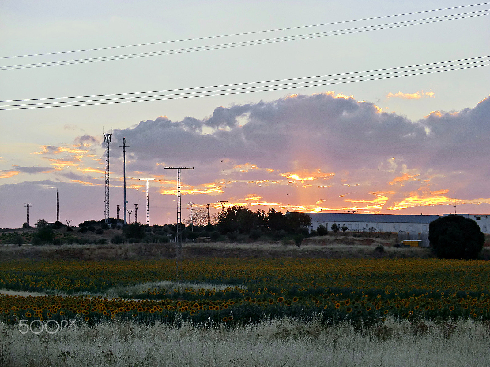 CASIO EX-H5 sample photo. Sunset photography