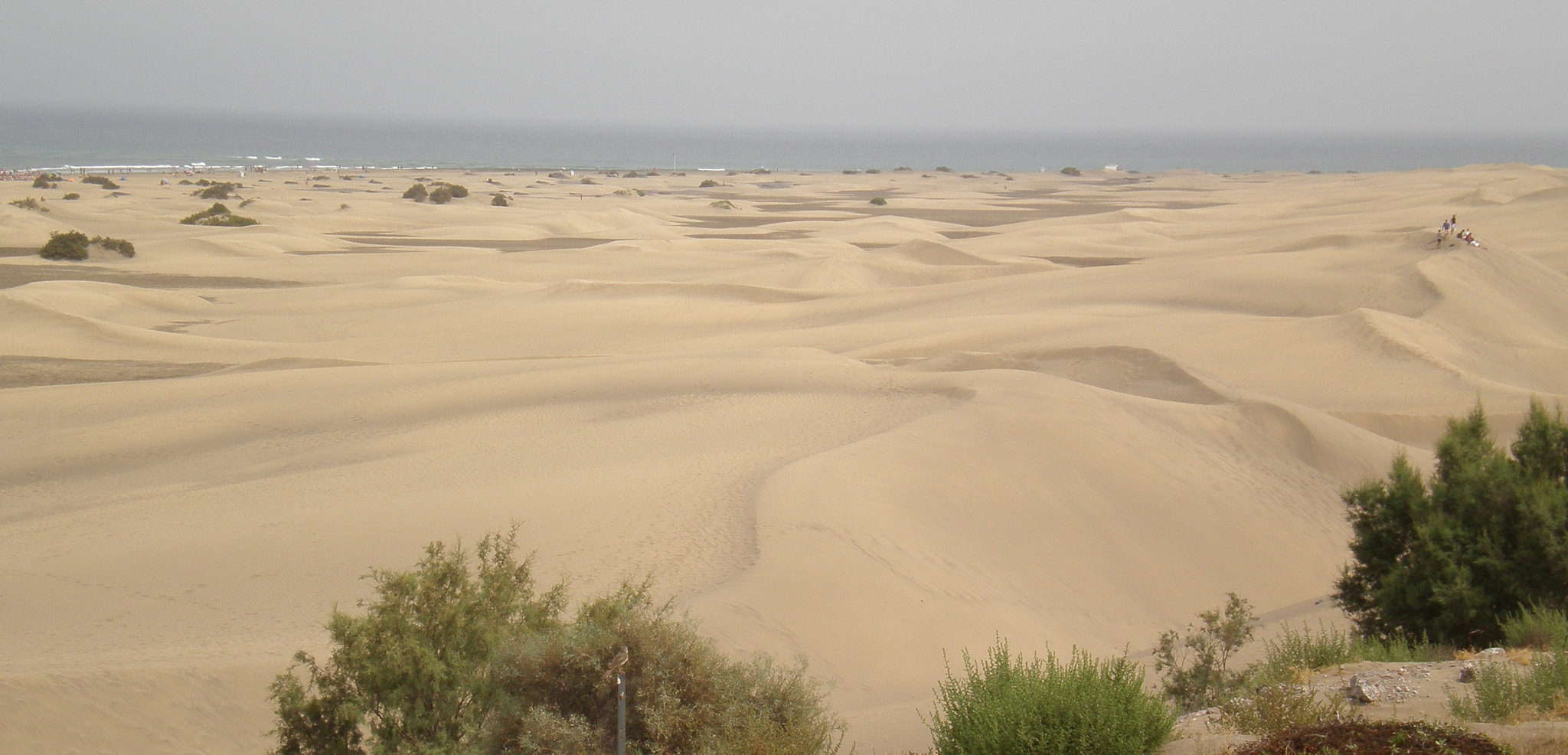 Olympus FE280,X820,C520 sample photo. Dunas de maspalomas photography