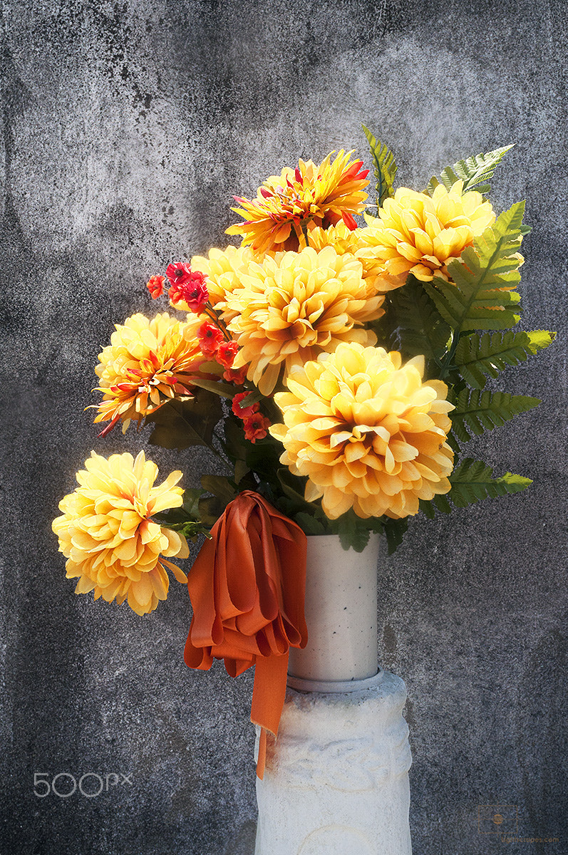 Nikon D90 + Nikon AF Nikkor 20mm F2.8D sample photo. Yellow chrysanthemums and orange ribbon, lafayette cemetery no 1 photography