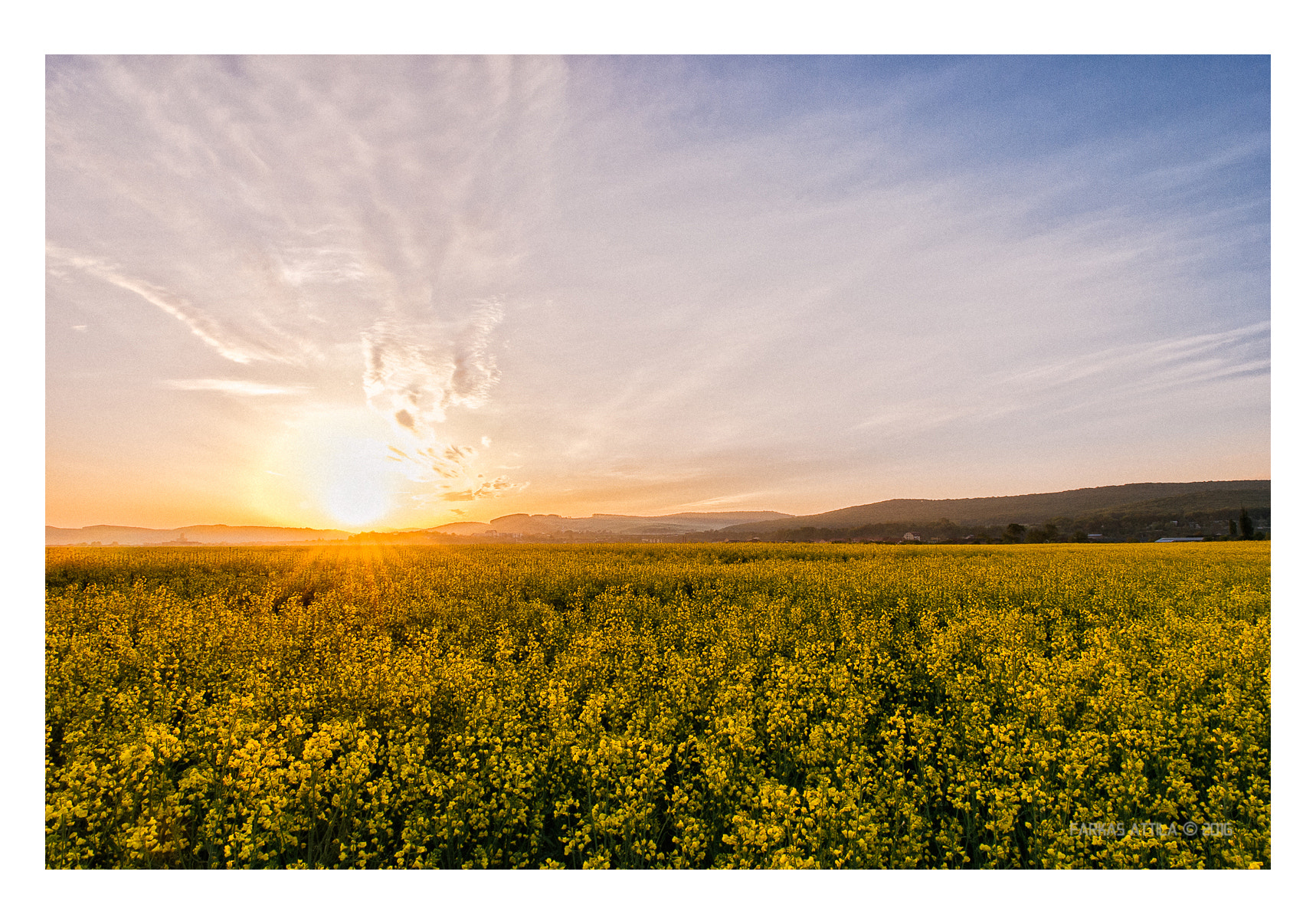 Nikon D60 sample photo. A new day... photography
