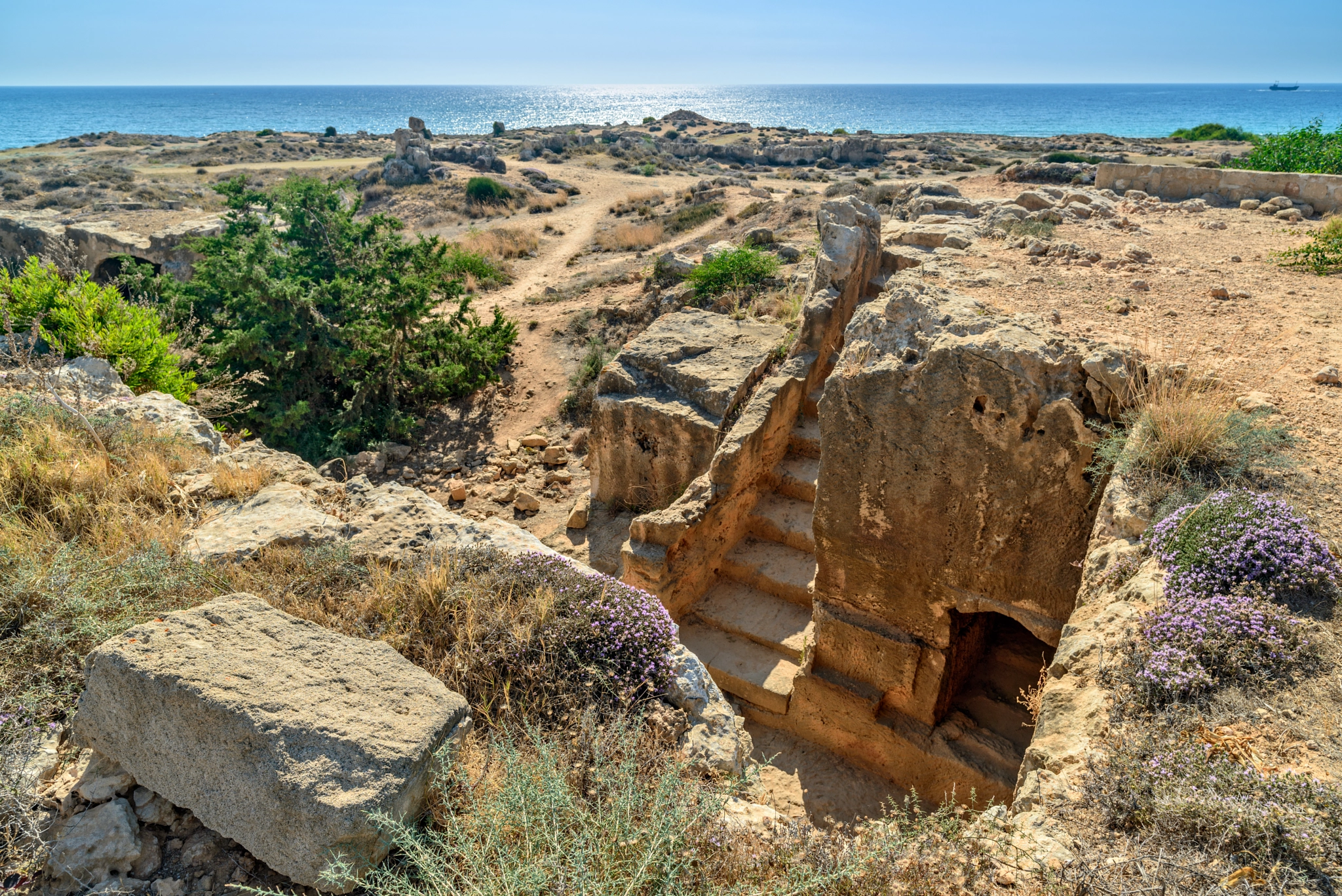 Nikon D800E sample photo. Archaeological museum in paphos on cyprus photography