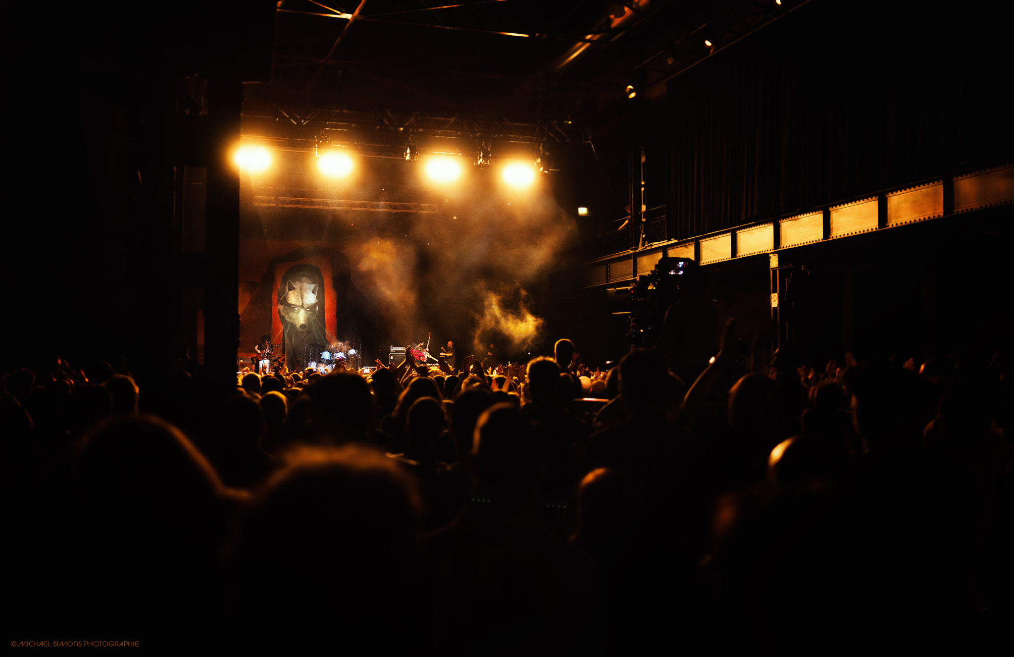 Tamron SP 35mm F1.8 Di VC USD sample photo. Wolfmother in cologne 2016 photography