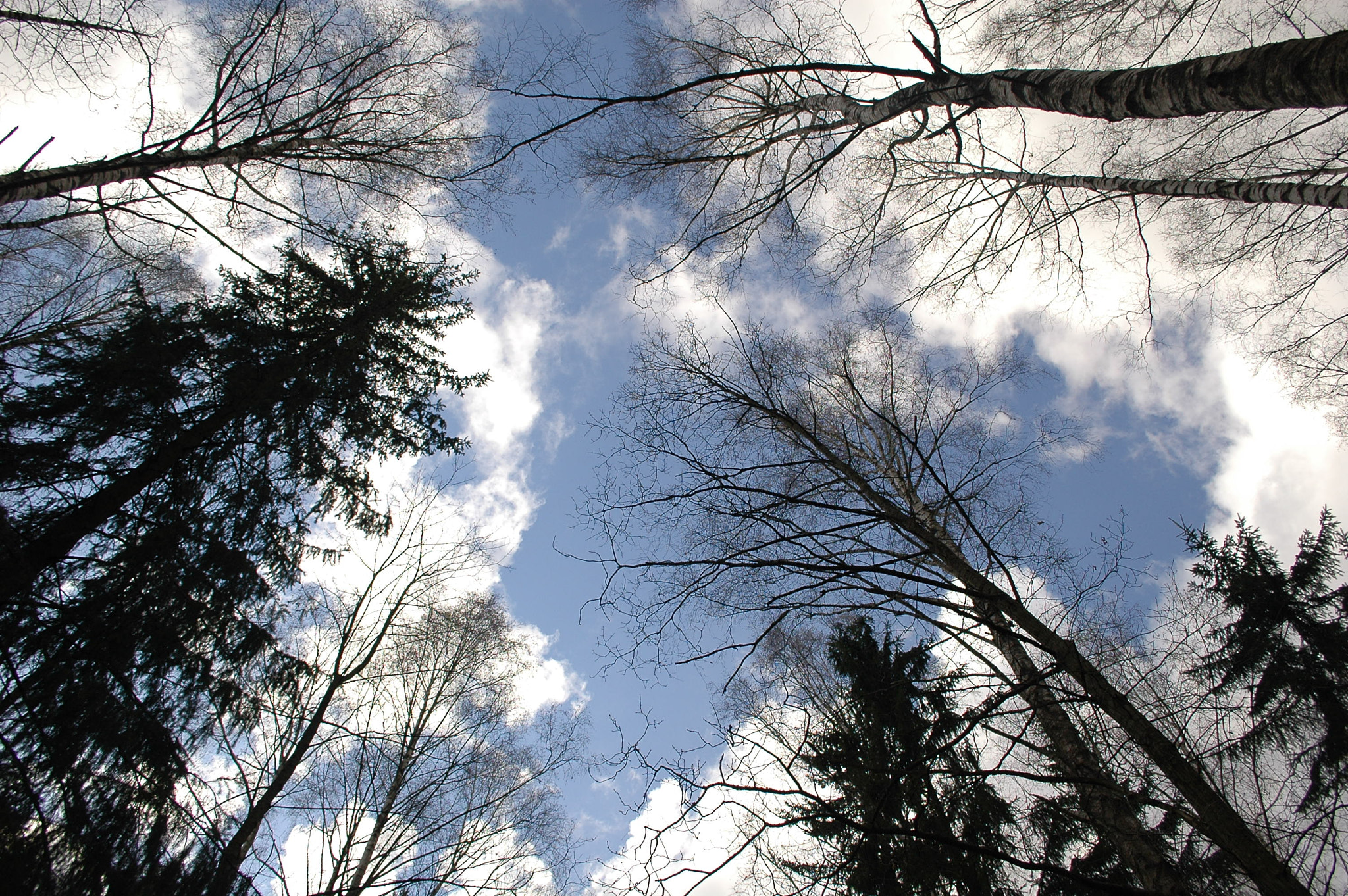 Nikon D70s sample photo. Pavlovsk 2016 photography