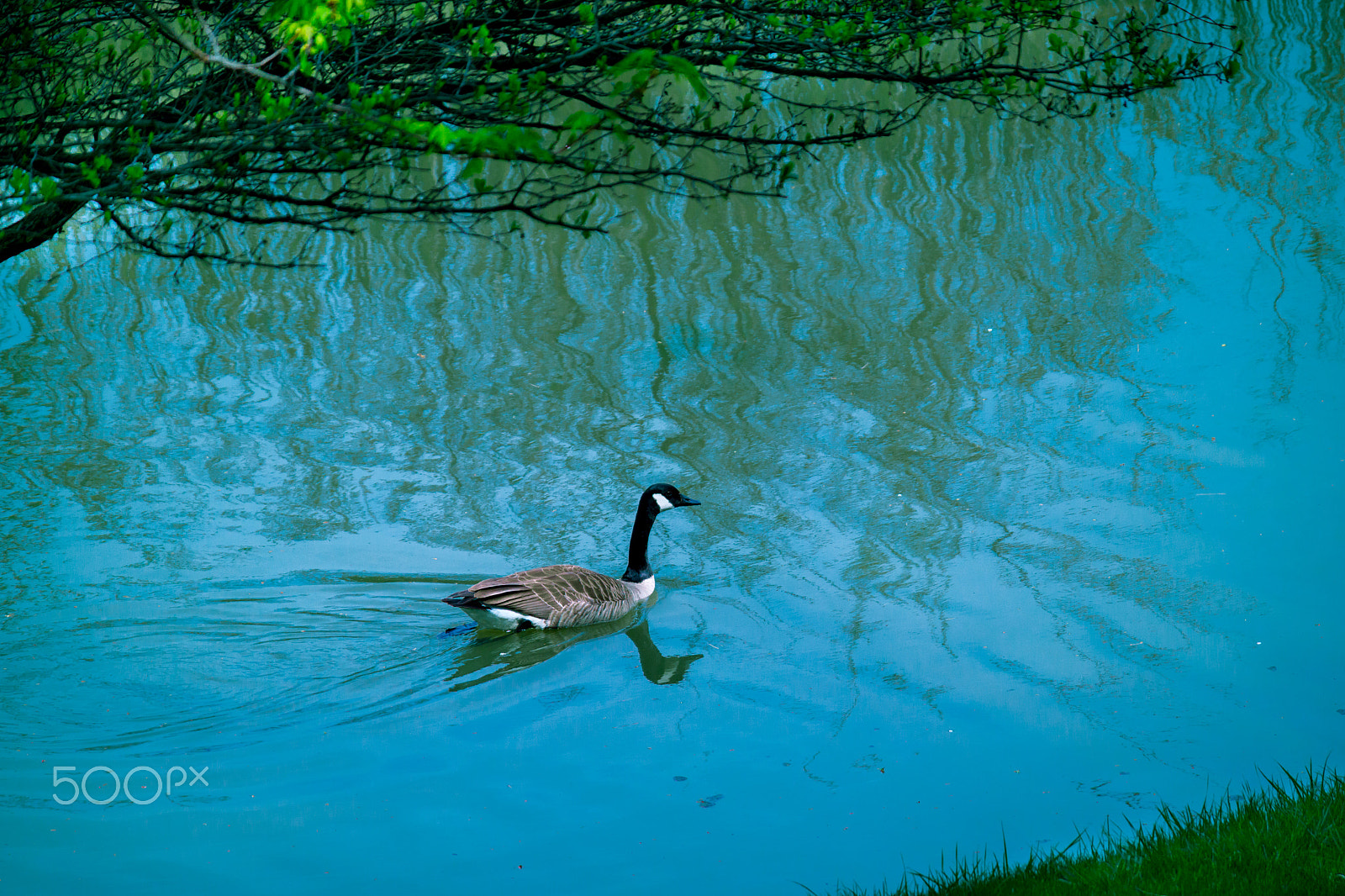 Samsung NX30 + Samsung NX 50-200mm F4-5.6 ED OIS sample photo. Let me enjoy this weather! photography