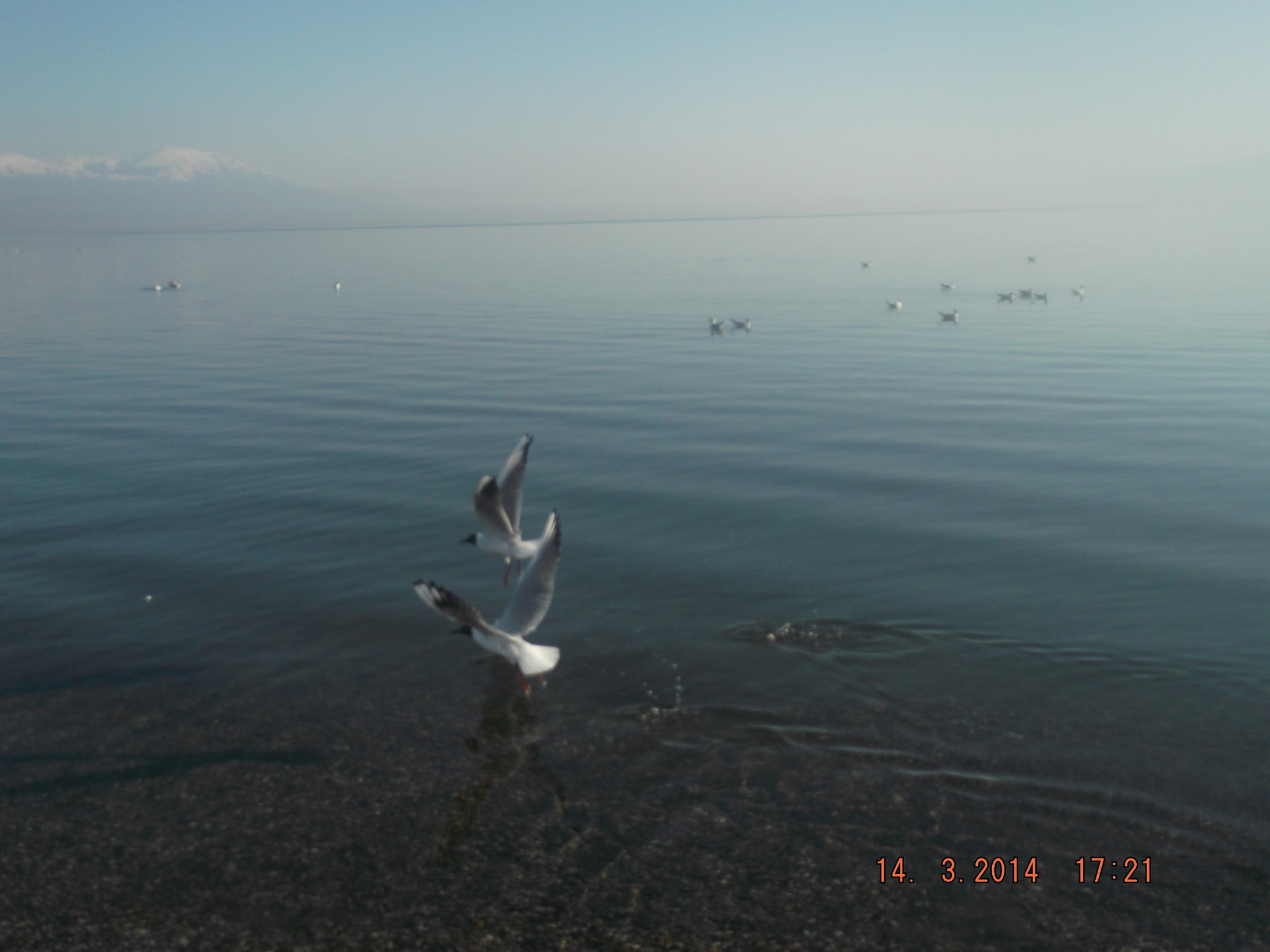 Fujifilm FinePix JV300 sample photo. Ohrid lake photography