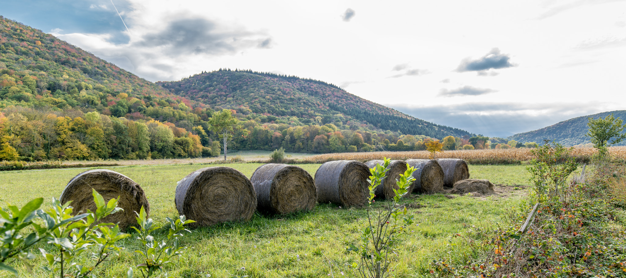 FE 16-36mm F4-8 ZA sample photo. Paysage photography