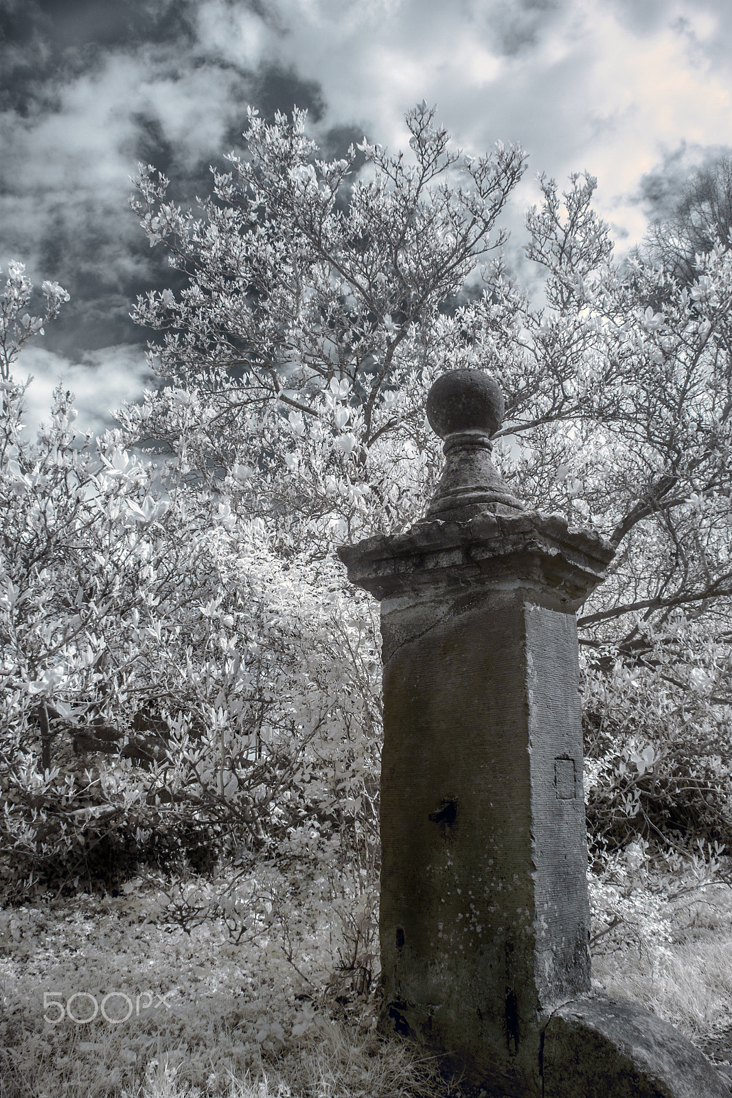 Canon EF-S 18-55mm F3.5-5.6 sample photo. The gate post photography