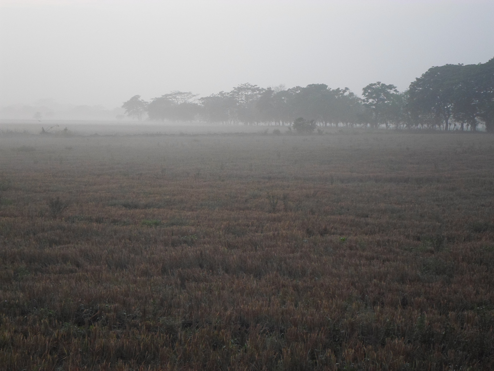 Samsung ES95 sample photo. Llega el invierno.jpg photography