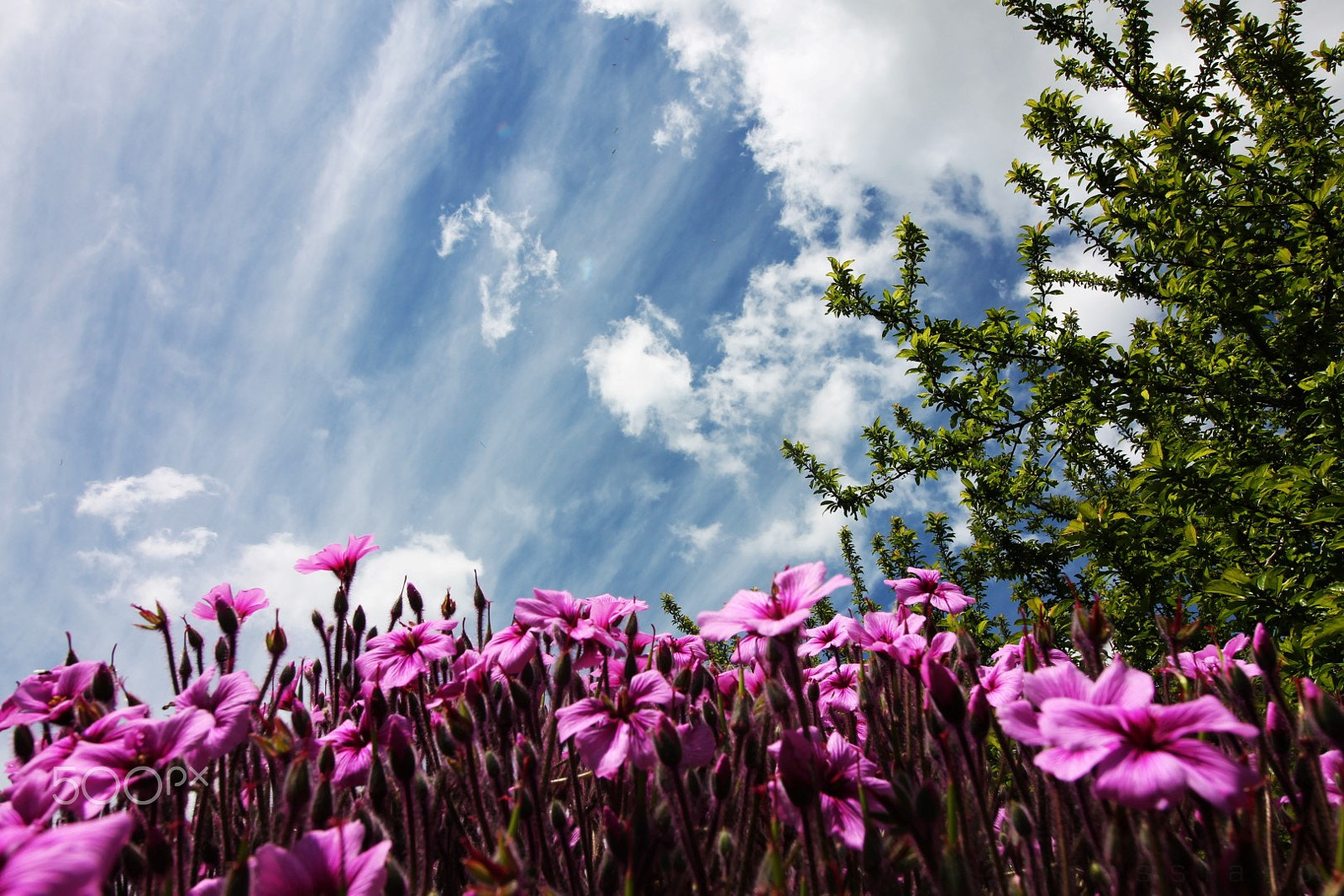 Canon EF-S 10-18mm F4.5–5.6 IS STM sample photo. #22 photography
