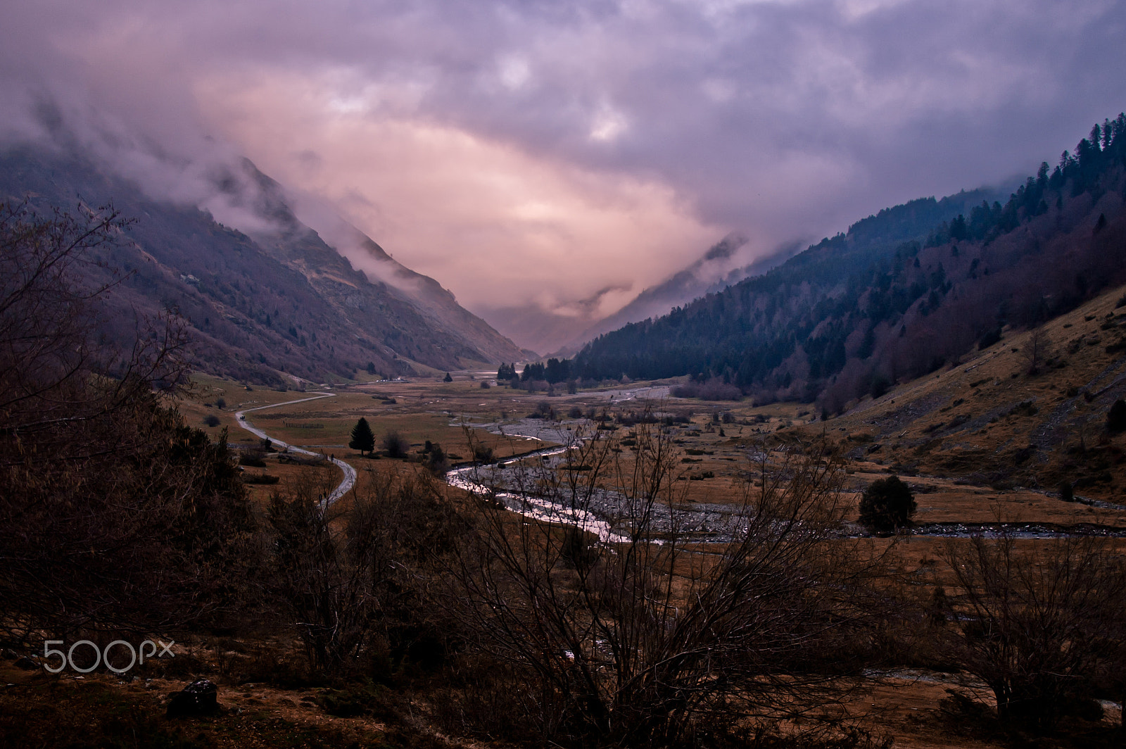 Nikon D50 sample photo. My way into the pink clouds photography