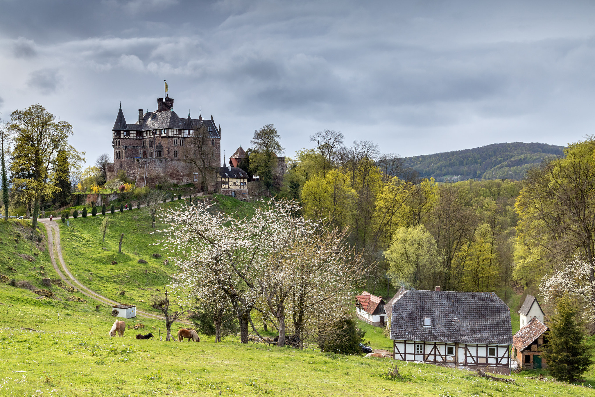 Tamron SP AF 17-50mm F2.8 XR Di II LD Aspherical (IF) sample photo. [berlepsch castle] photography