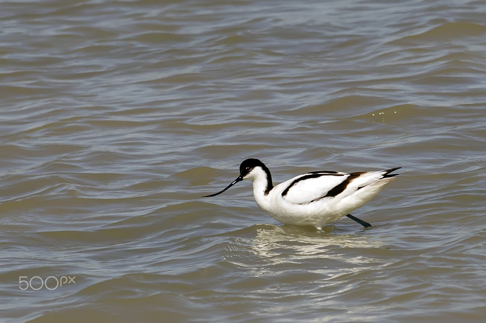 Canon EF 35-350mm F3.5-5.6L USM sample photo. En la salina  photography