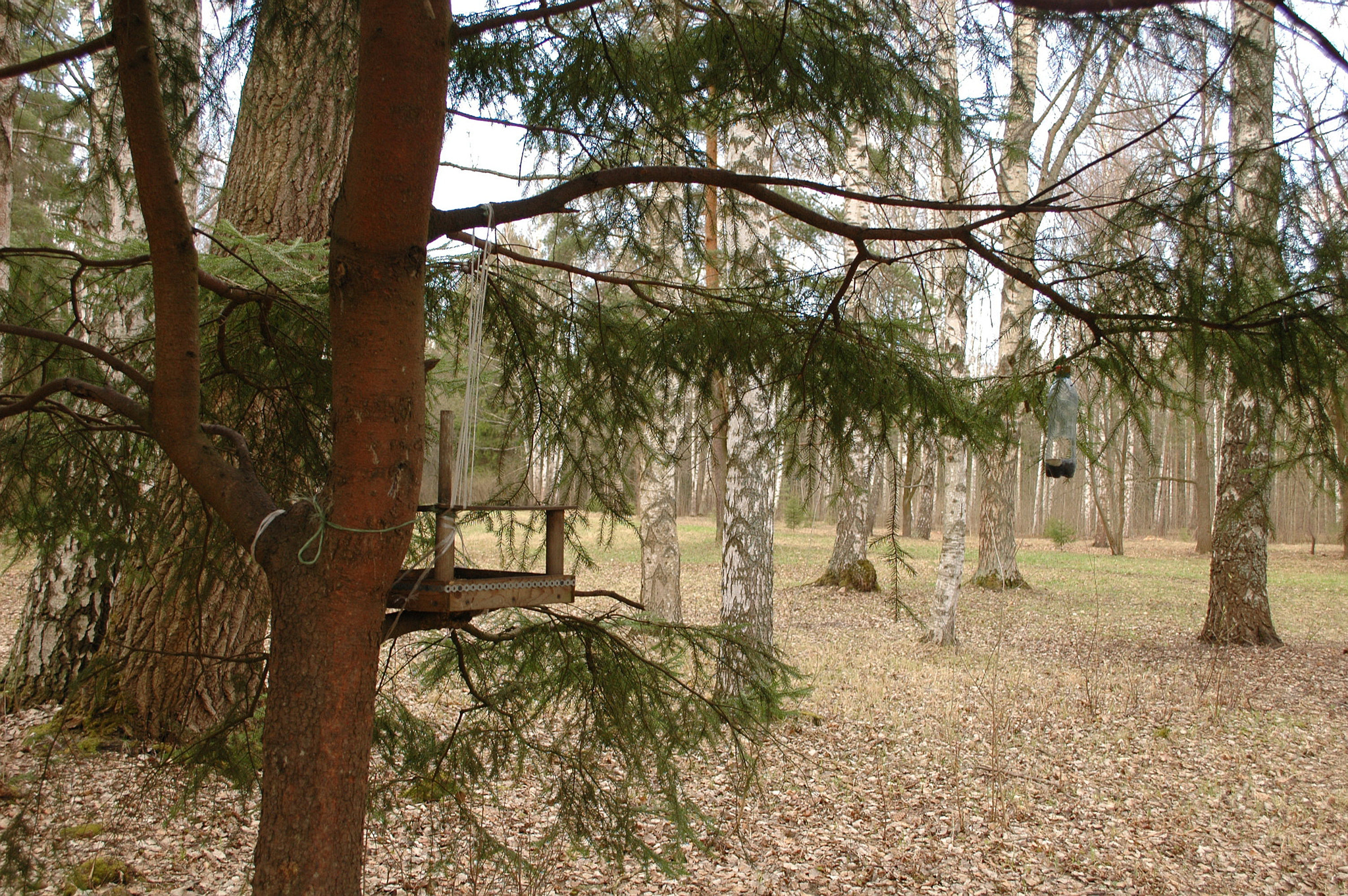 Nikon D70s sample photo. Pavlovsk 2016 photography