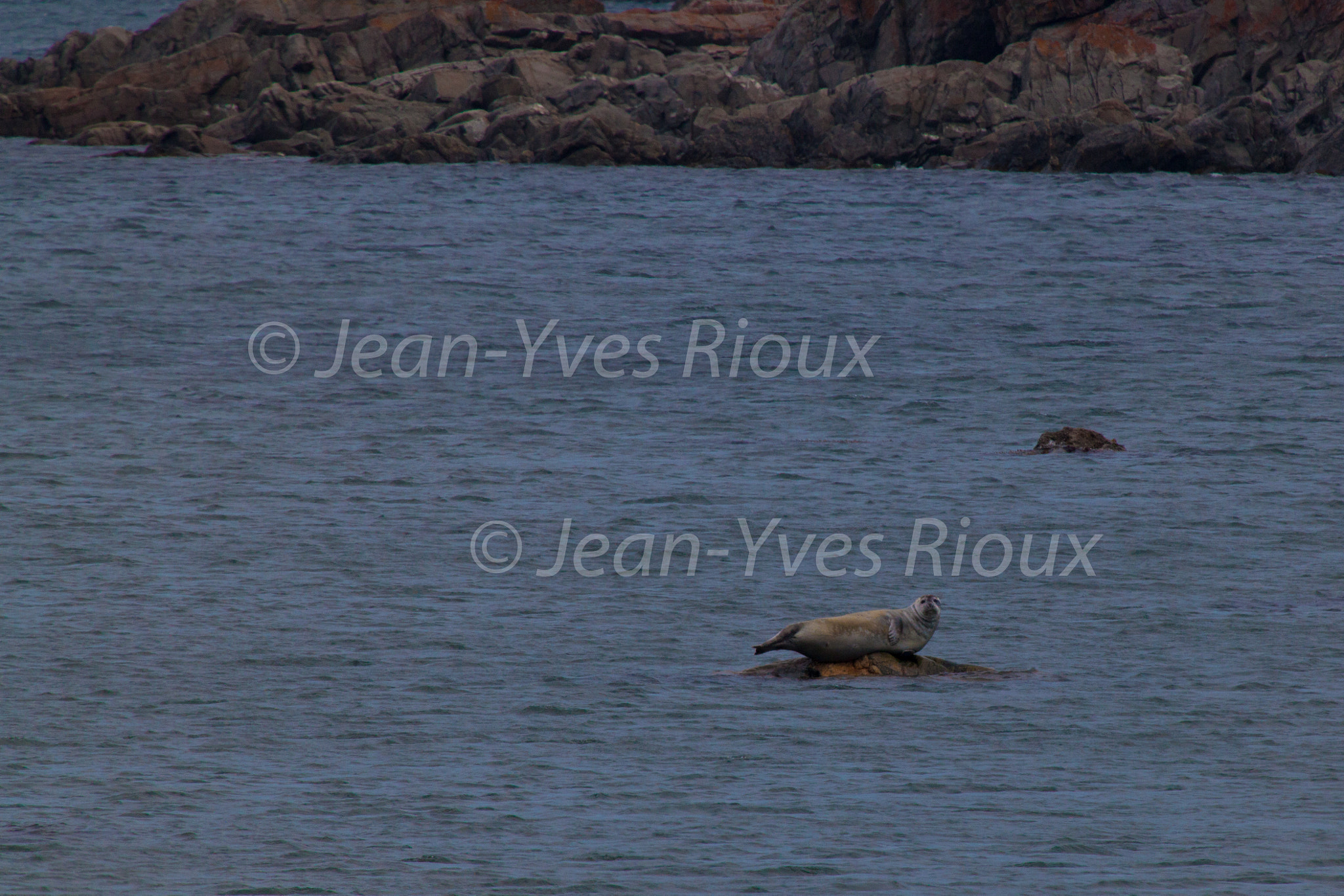 Canon EF 100-400mm F4.5-5.6L IS USM sample photo