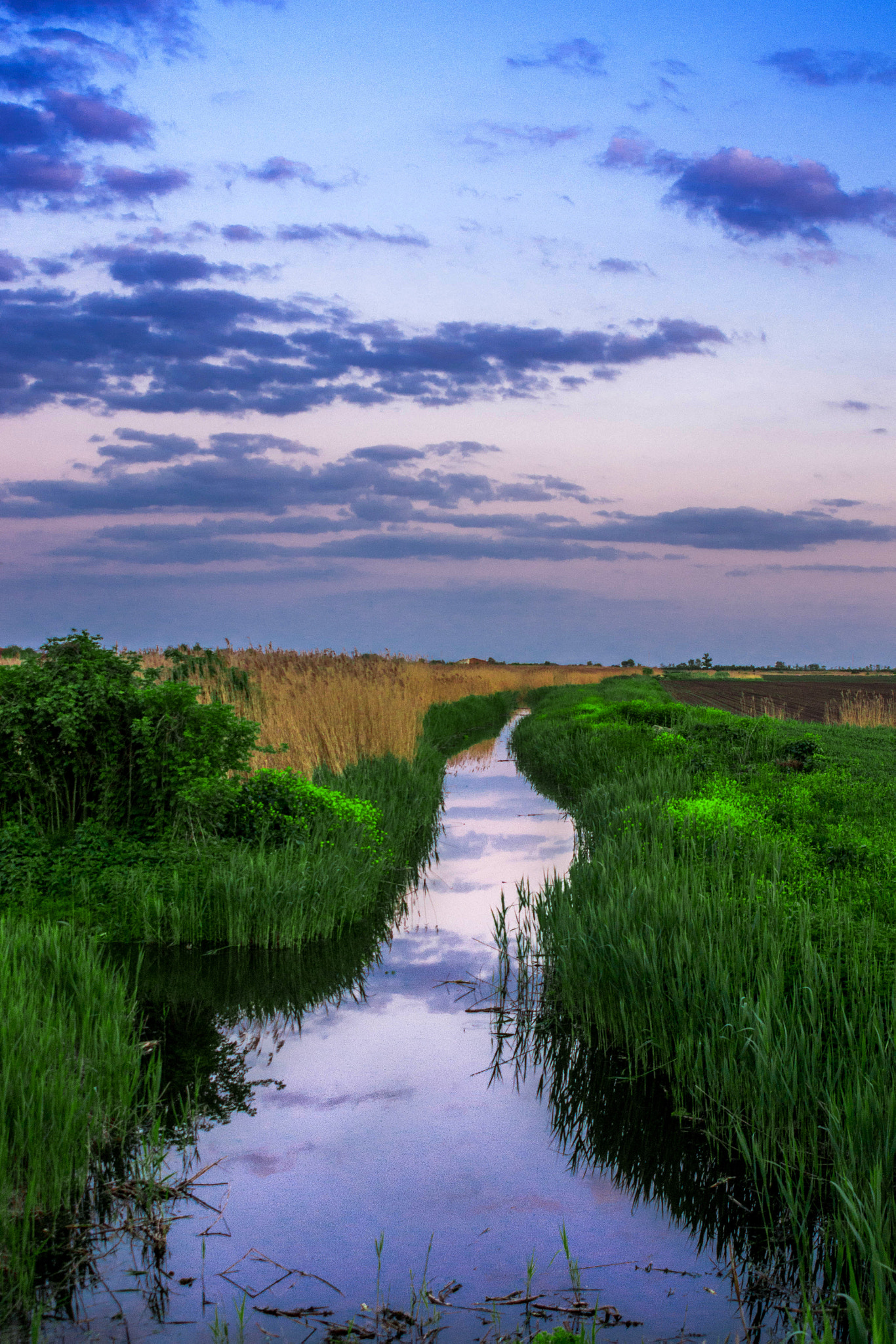 Nikon D3100 + AF Zoom-Nikkor 28-200mm f/3.5-5.6D IF sample photo. Small canal in the plain photography