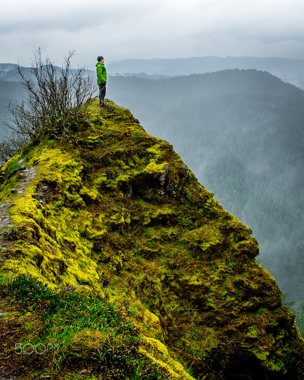 24-105mm F4 G SSM OSS sample photo. Misty overlook 2 photography