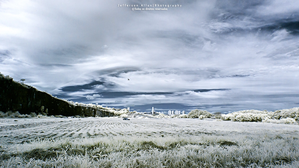 Canon EF 8-15mm F4L Fisheye USM sample photo. Infrared photography