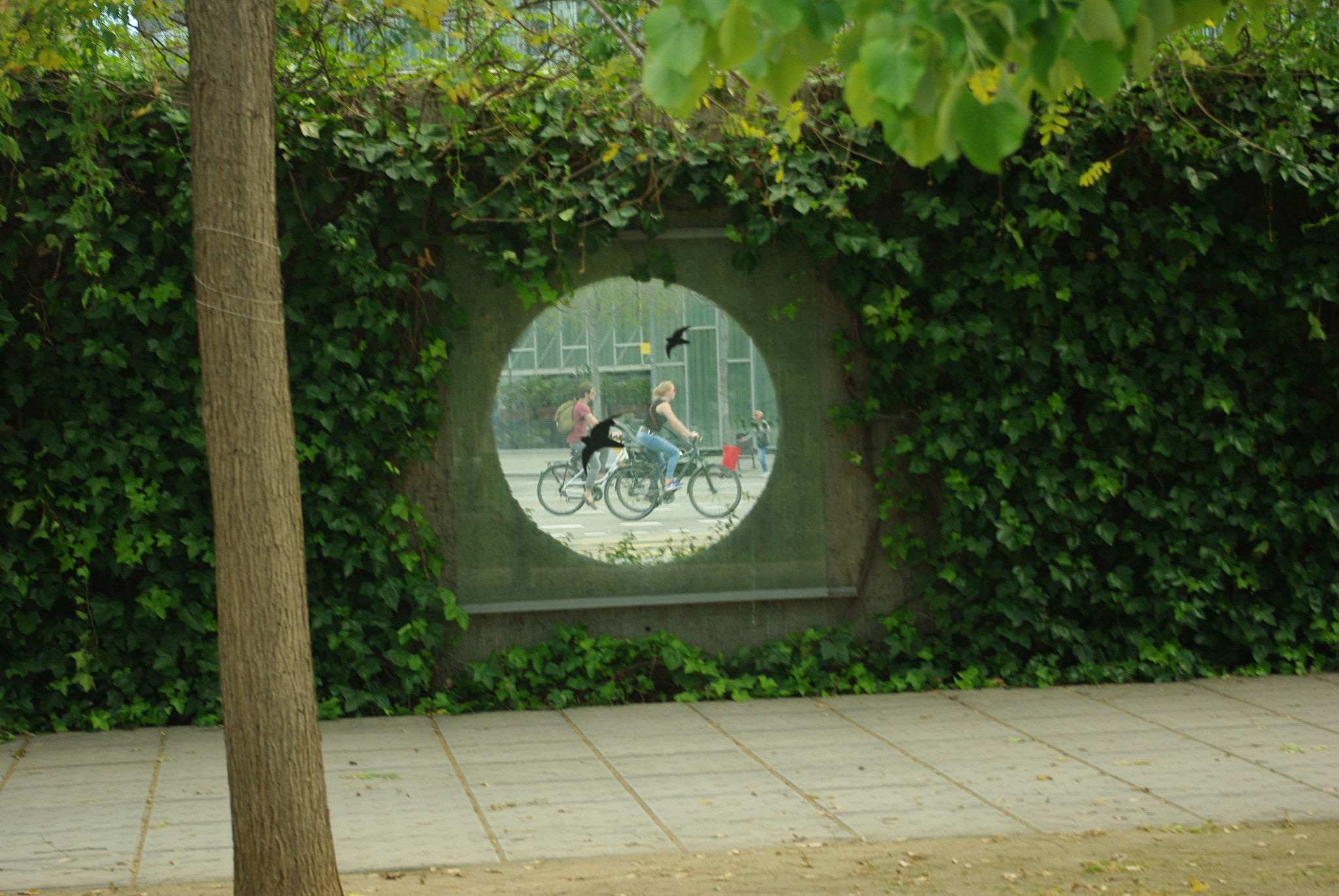 Pentax K200D sample photo