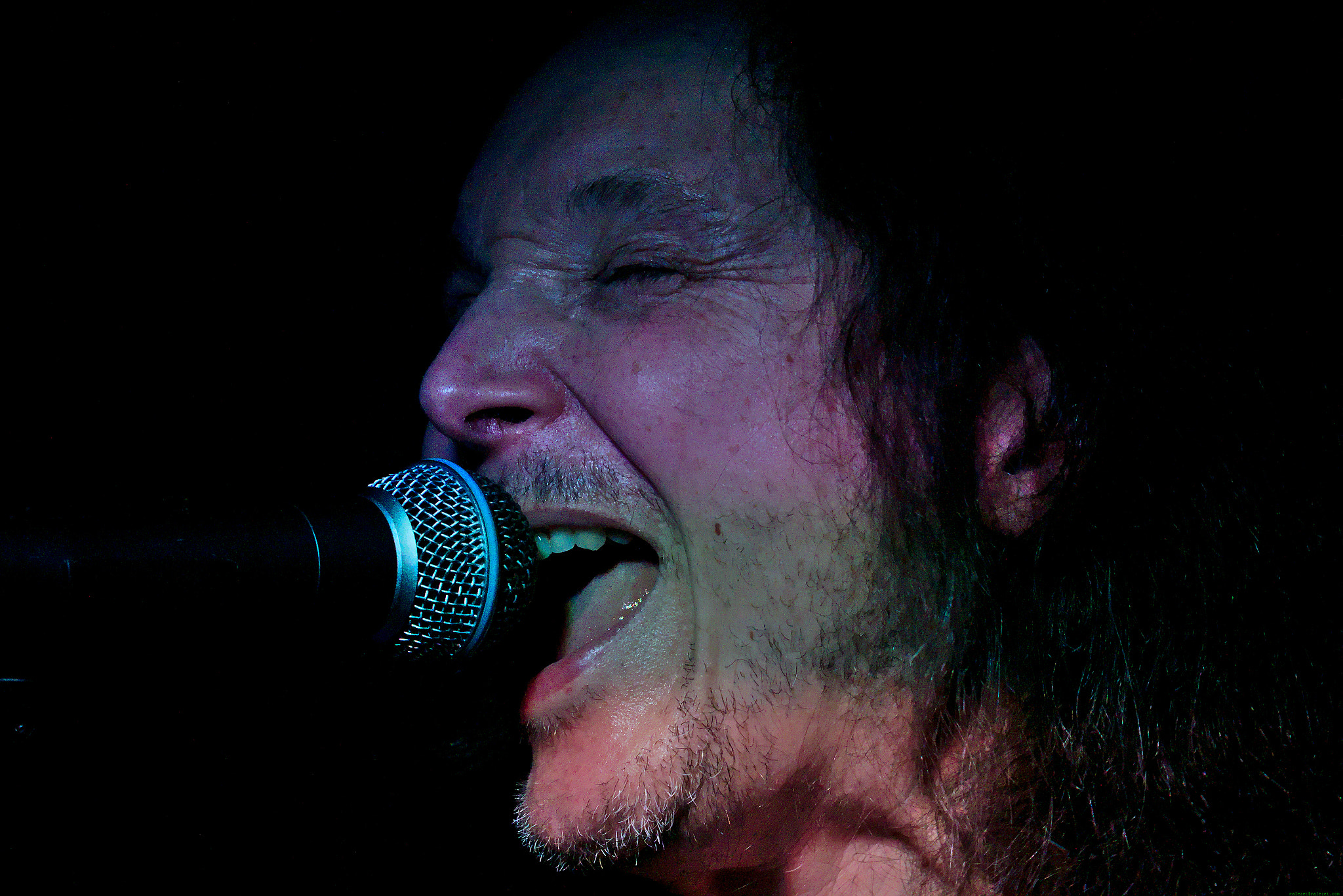 Pentax K-3 sample photo. Mr. pollack concert - jacek photography