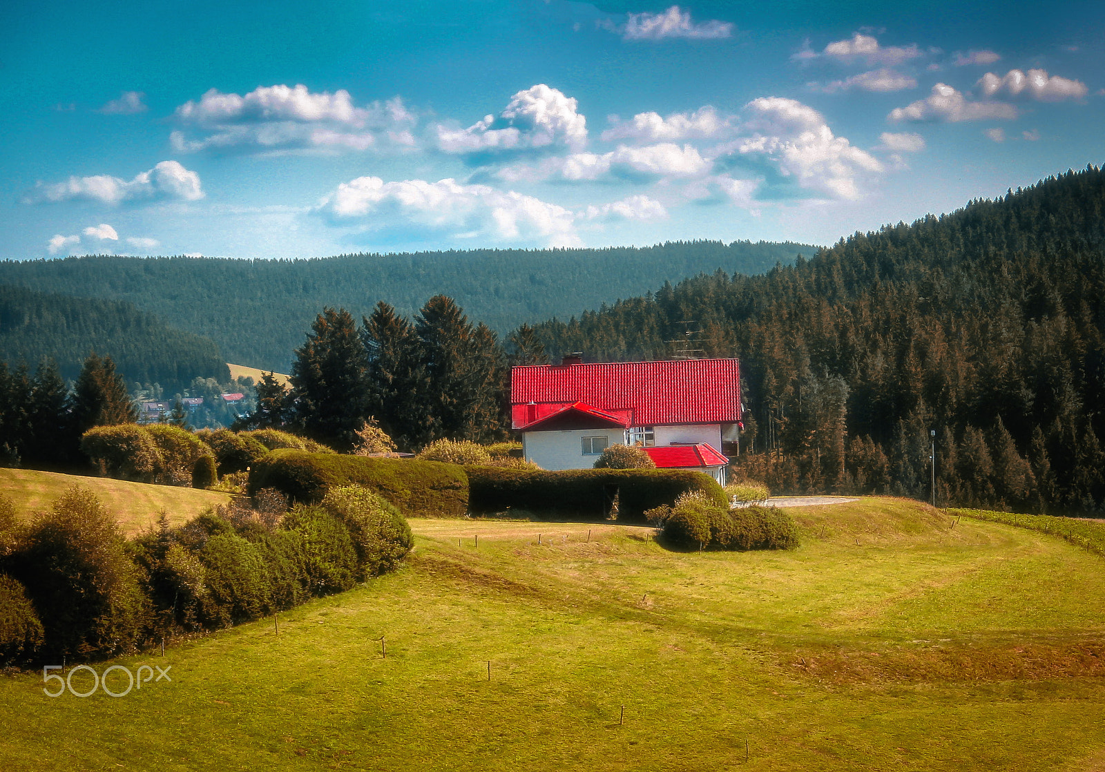 Canon POWERSHOT G6 sample photo. Landscape in the black forest photography