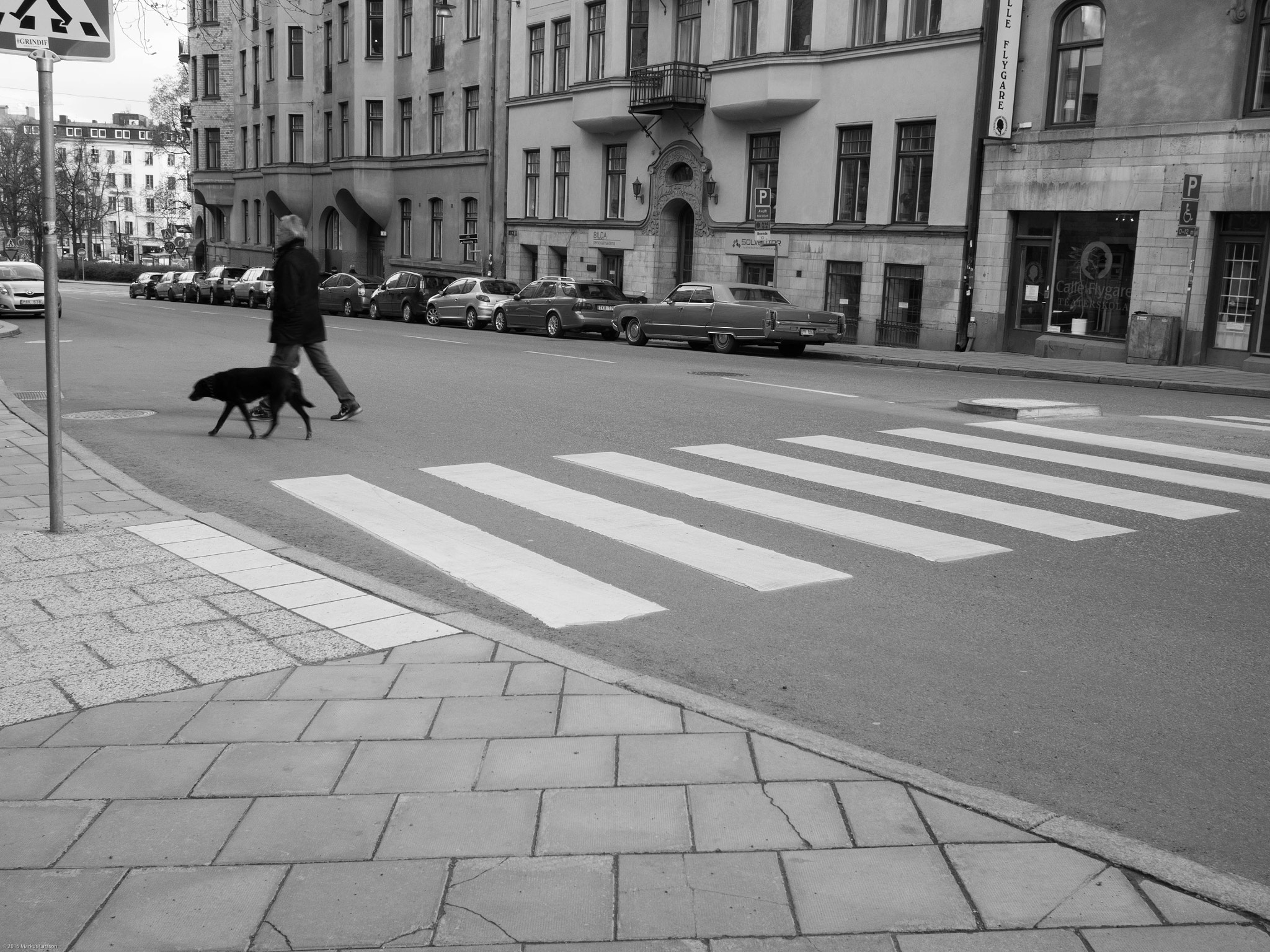 Olympus M.Zuiko Digital 17mm F1.8 sample photo. Man walking dog, stockholm photography
