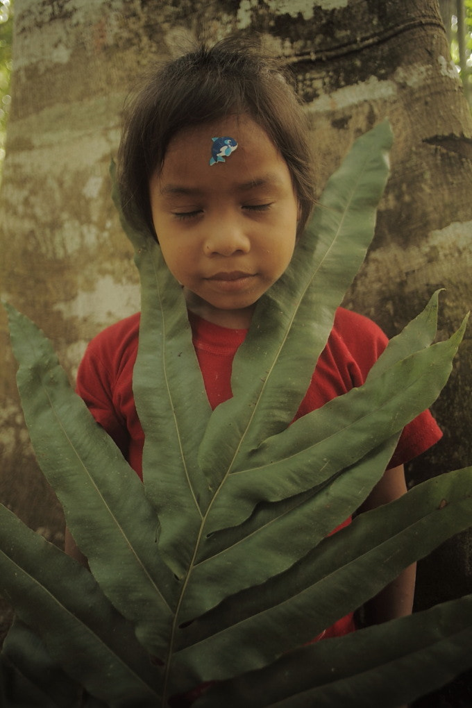 Canon 1-65535mm sample photo. Bcebao photography