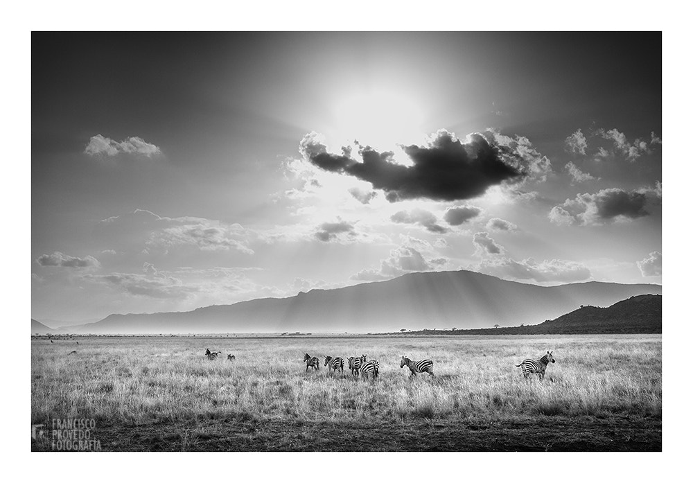 Canon EF 24mm F1.4L II USM sample photo. Kenia photography