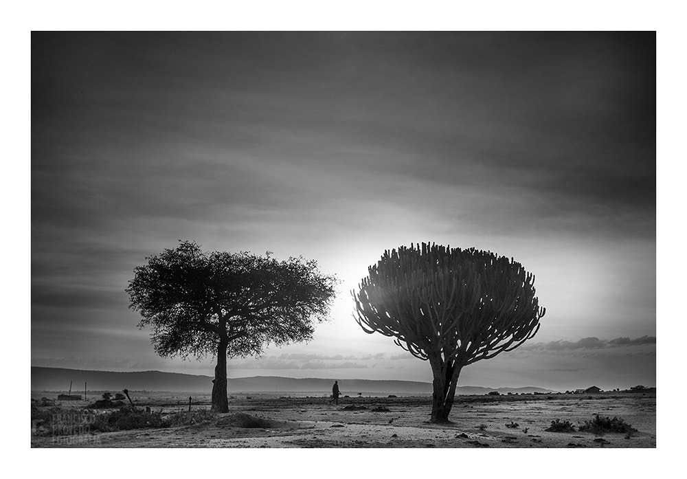 Canon EF 24mm F1.4L II USM sample photo. Kenia photography