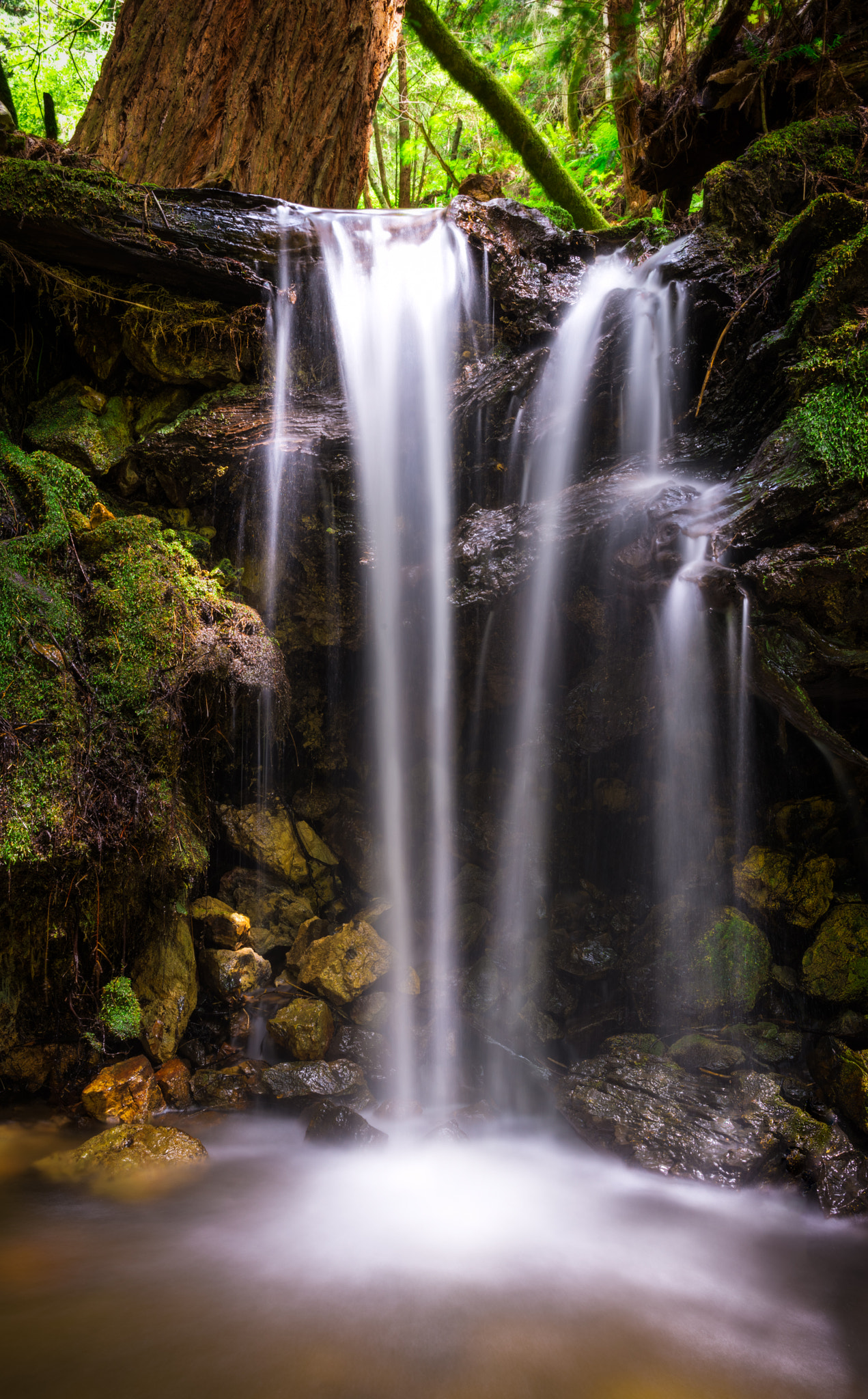Nikon D800E + Nikon AF-S Nikkor 28mm F1.8G sample photo. Redwoods waterfall photography