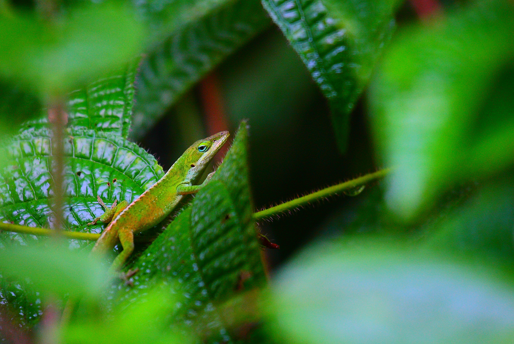 Canon EOS-1D Mark III sample photo. D photography
