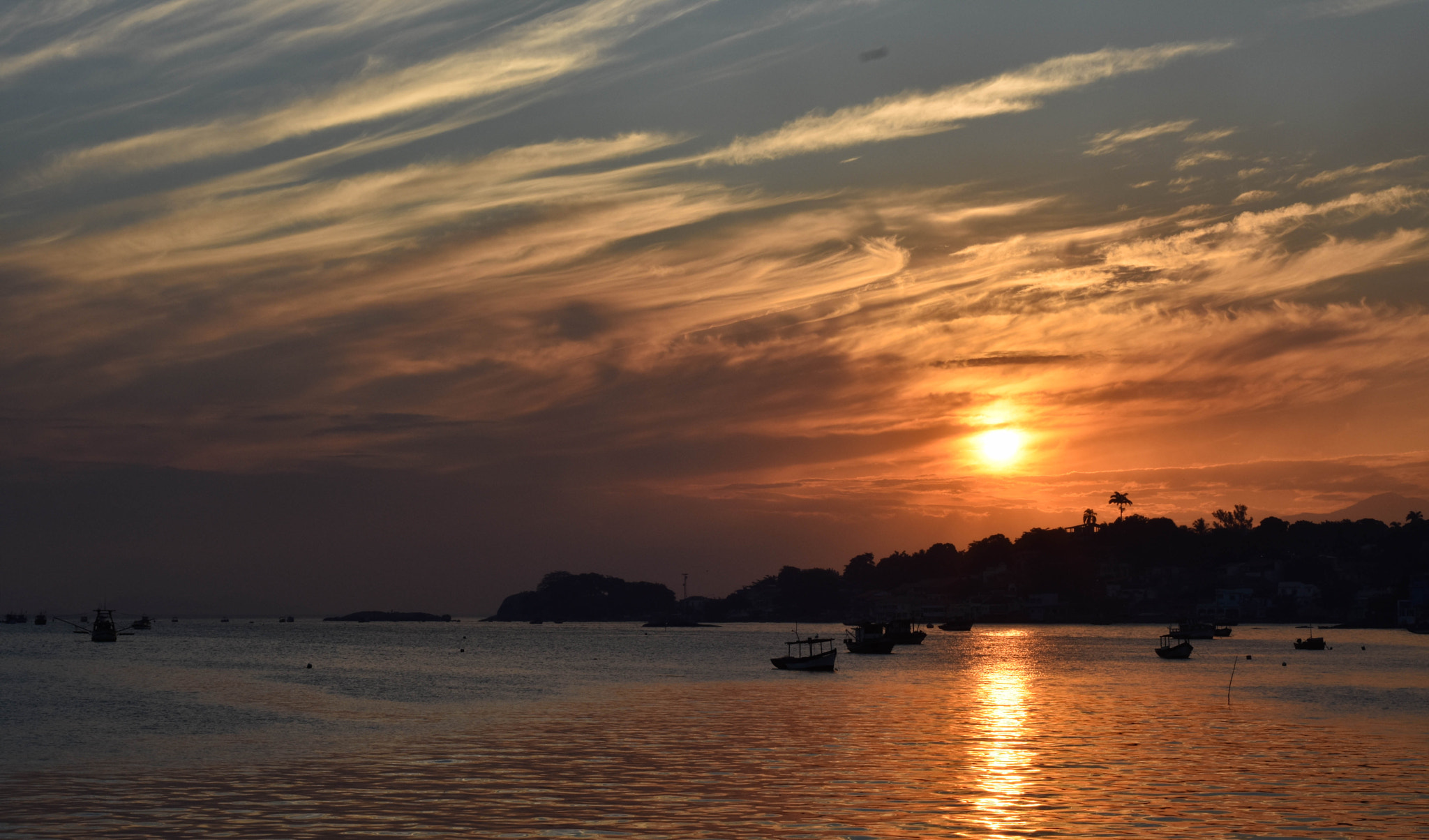 Nikon D7200 + Nikon AF Nikkor 50mm F1.4D sample photo. 24042016-_dsc0890.jpg photography