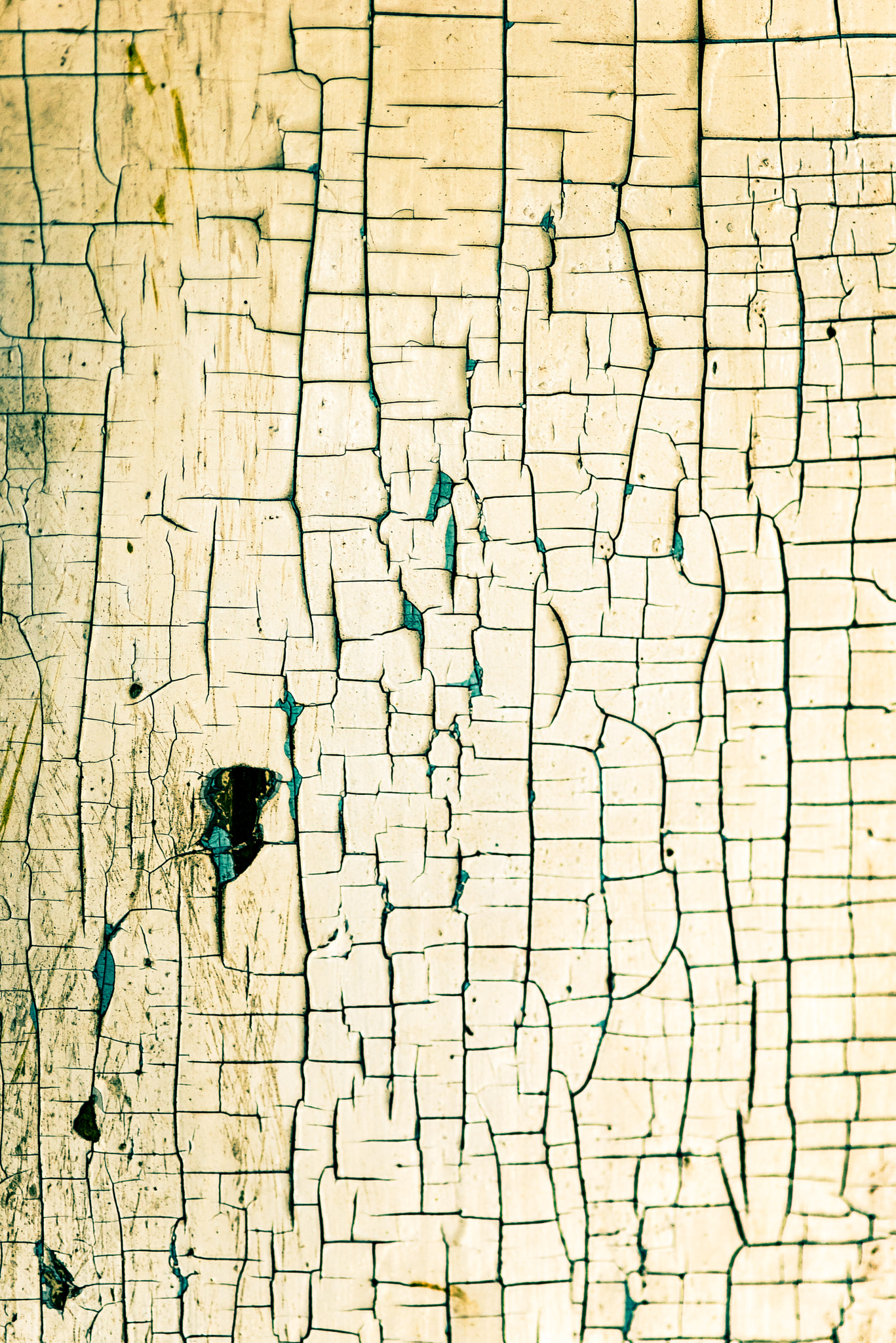 Nikon D610 + AF Micro-Nikkor 105mm f/2.8 sample photo. Decaying birch wall photography
