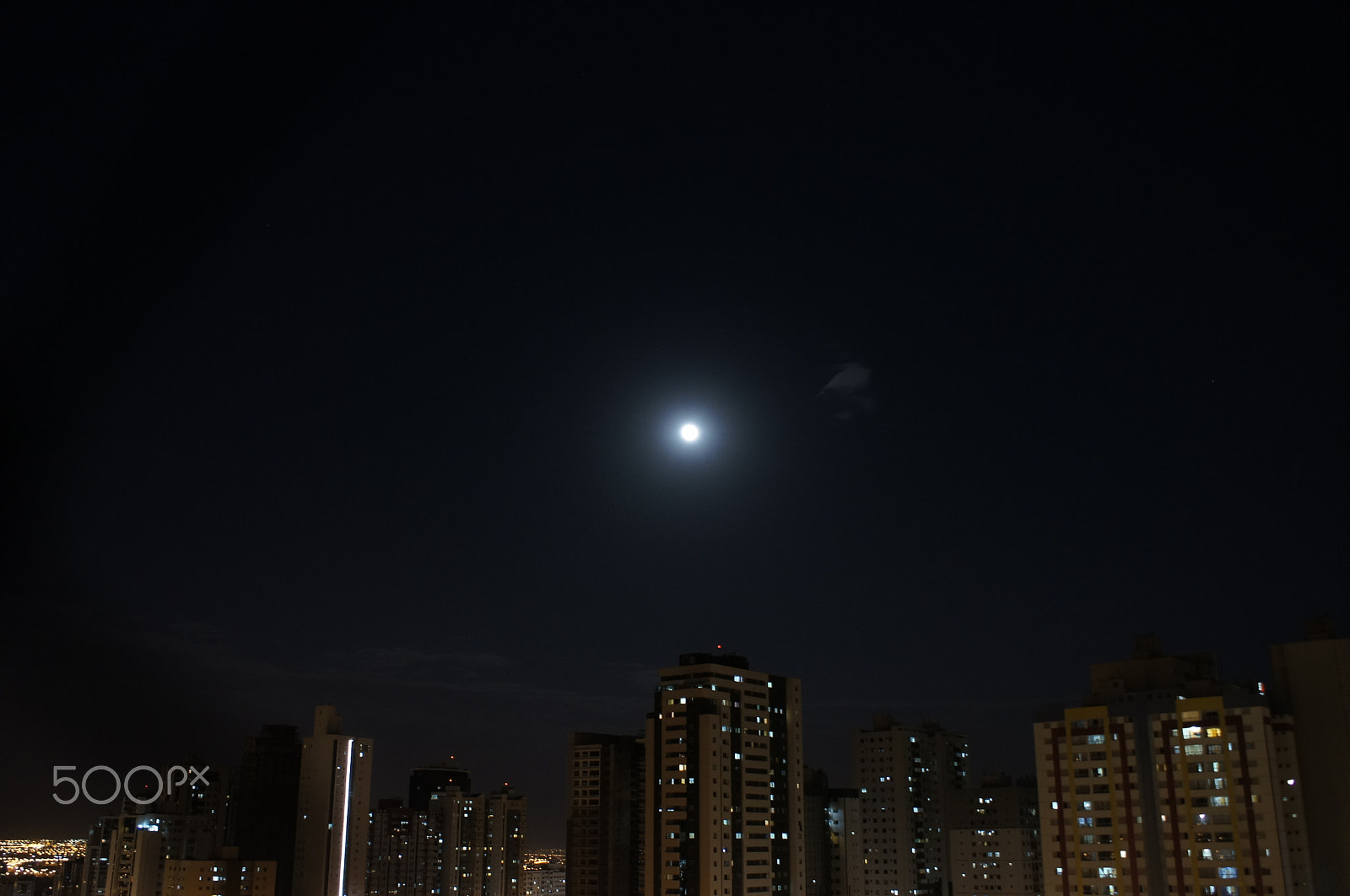 Sony Alpha DSLR-A580 sample photo. Queen of the night photography