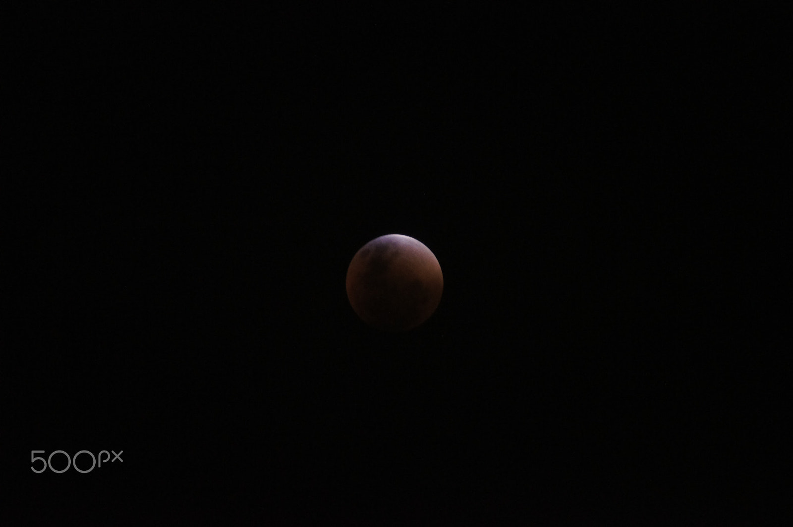 Sony Alpha DSLR-A580 sample photo. Bloodymoon photography