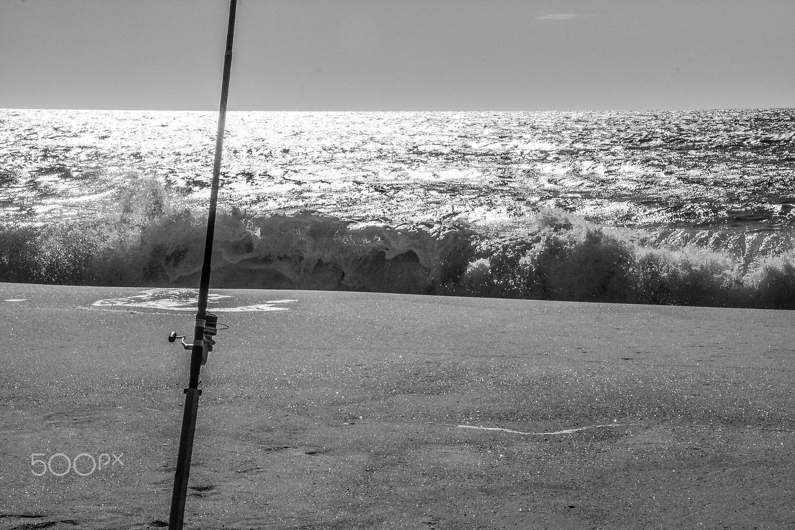 Canon EOS 40D sample photo. Black and white ii photography