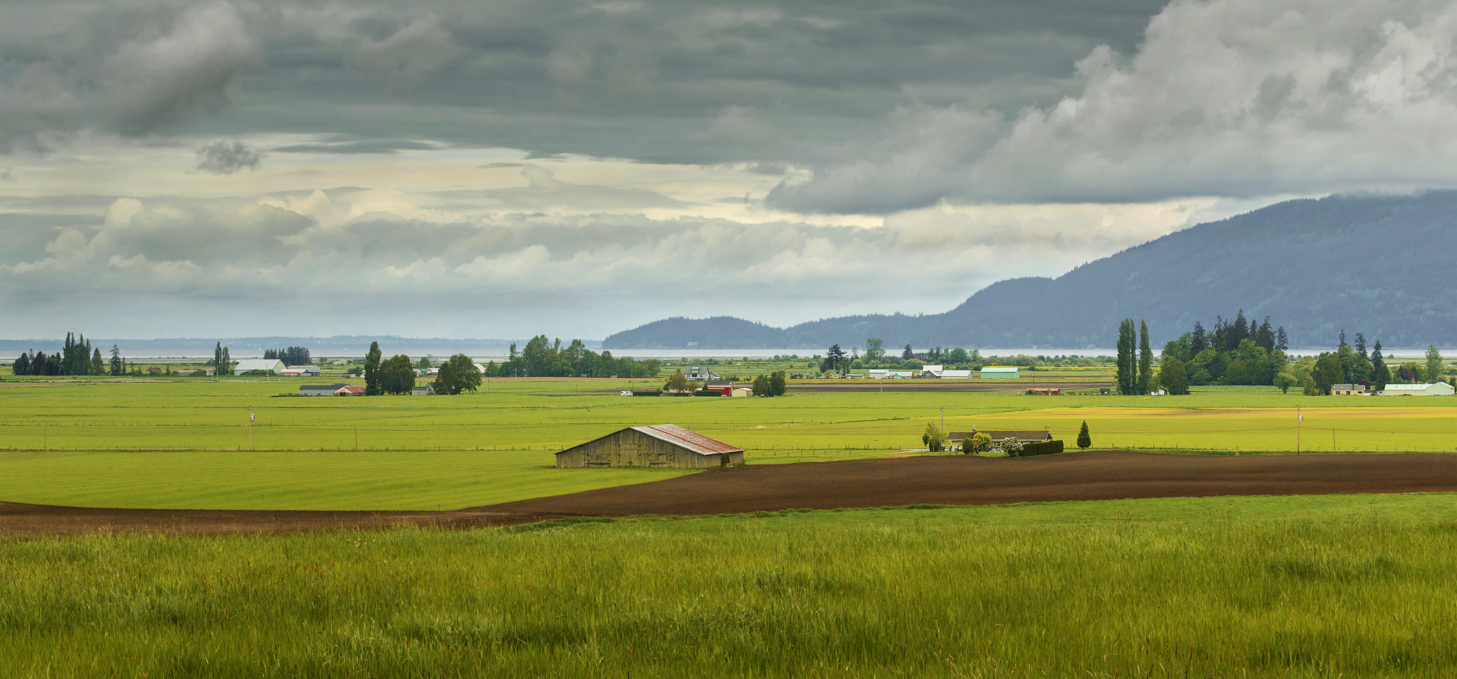 AF-S Zoom-Nikkor 80-200mm f/2.8D IF-ED sample photo. Skagit coast photography