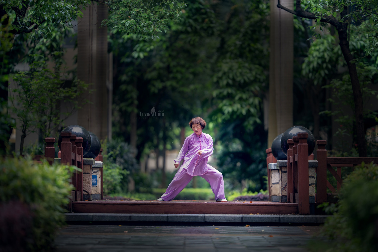 Canon EOS 6D + Canon EF 200mm F2L IS USM sample photo. Chinese kung fu, tai chi photography