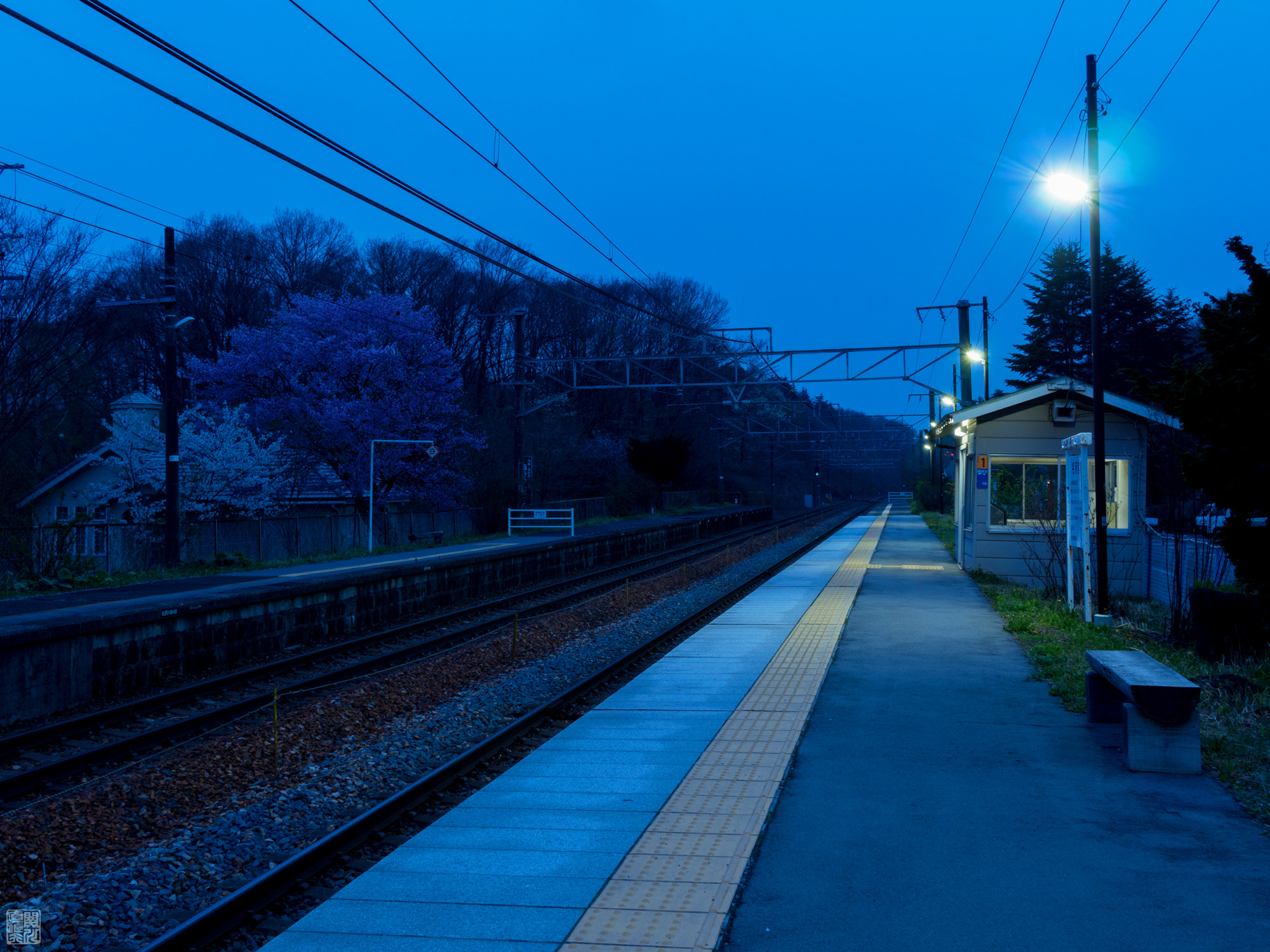 Olympus OM-D E-M10 + Sigma 19mm F2.8 EX DN sample photo. An empty train station photography