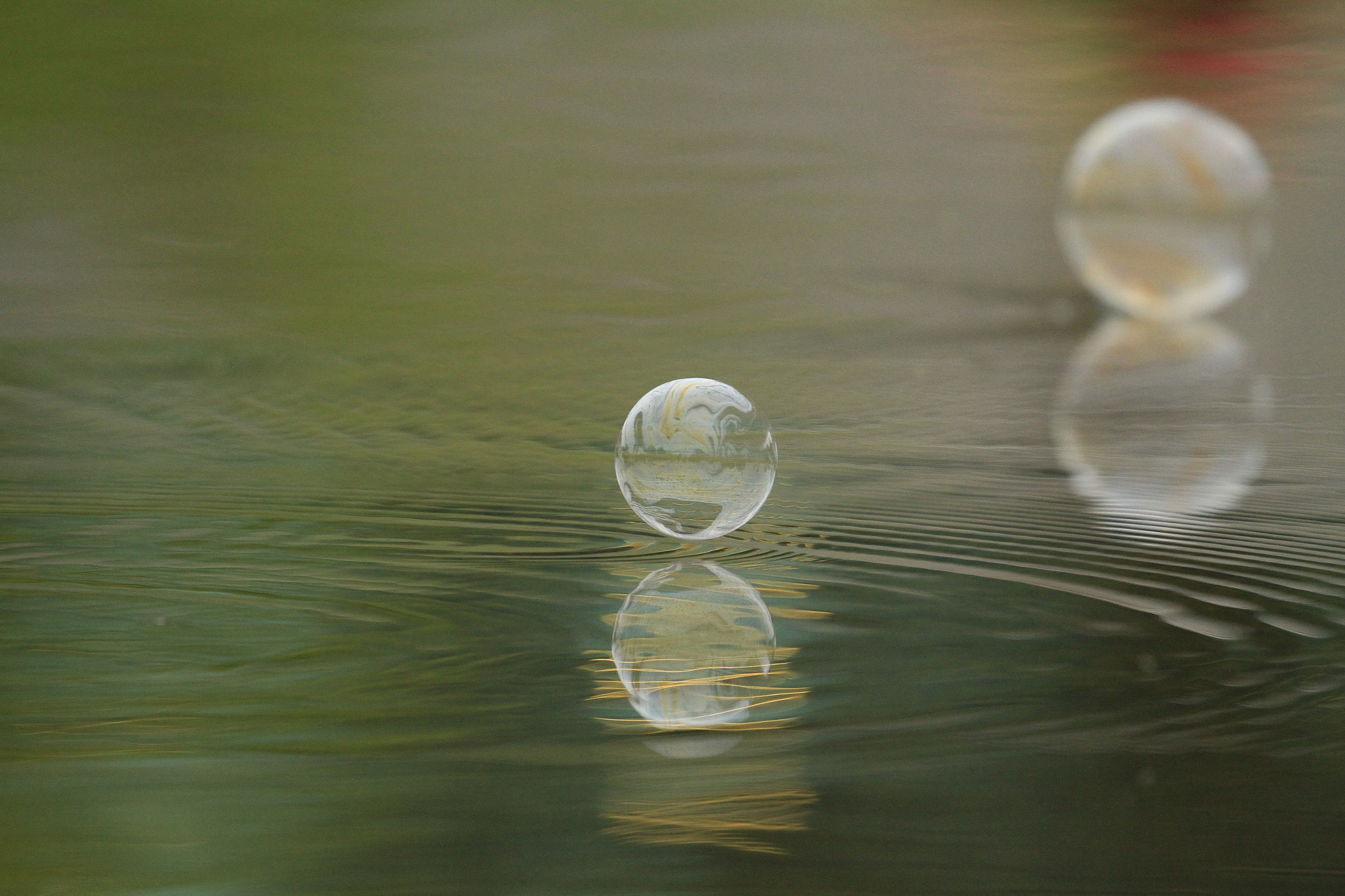 Canon EF 100-400mm F4.5-5.6L IS II USM sample photo. シャボン玉 photography
