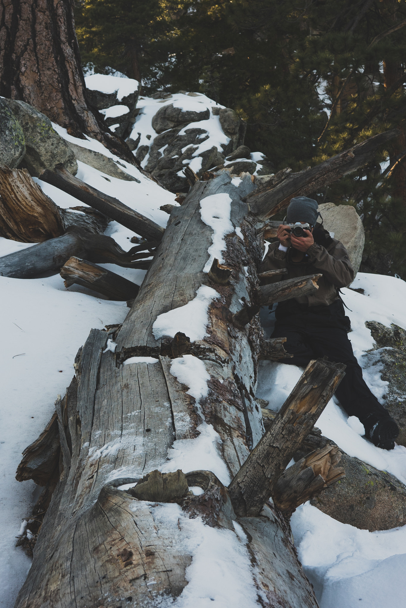 Sony a7S II + Sony Sonnar T* FE 35mm F2.8 ZA sample photo. Camo photography