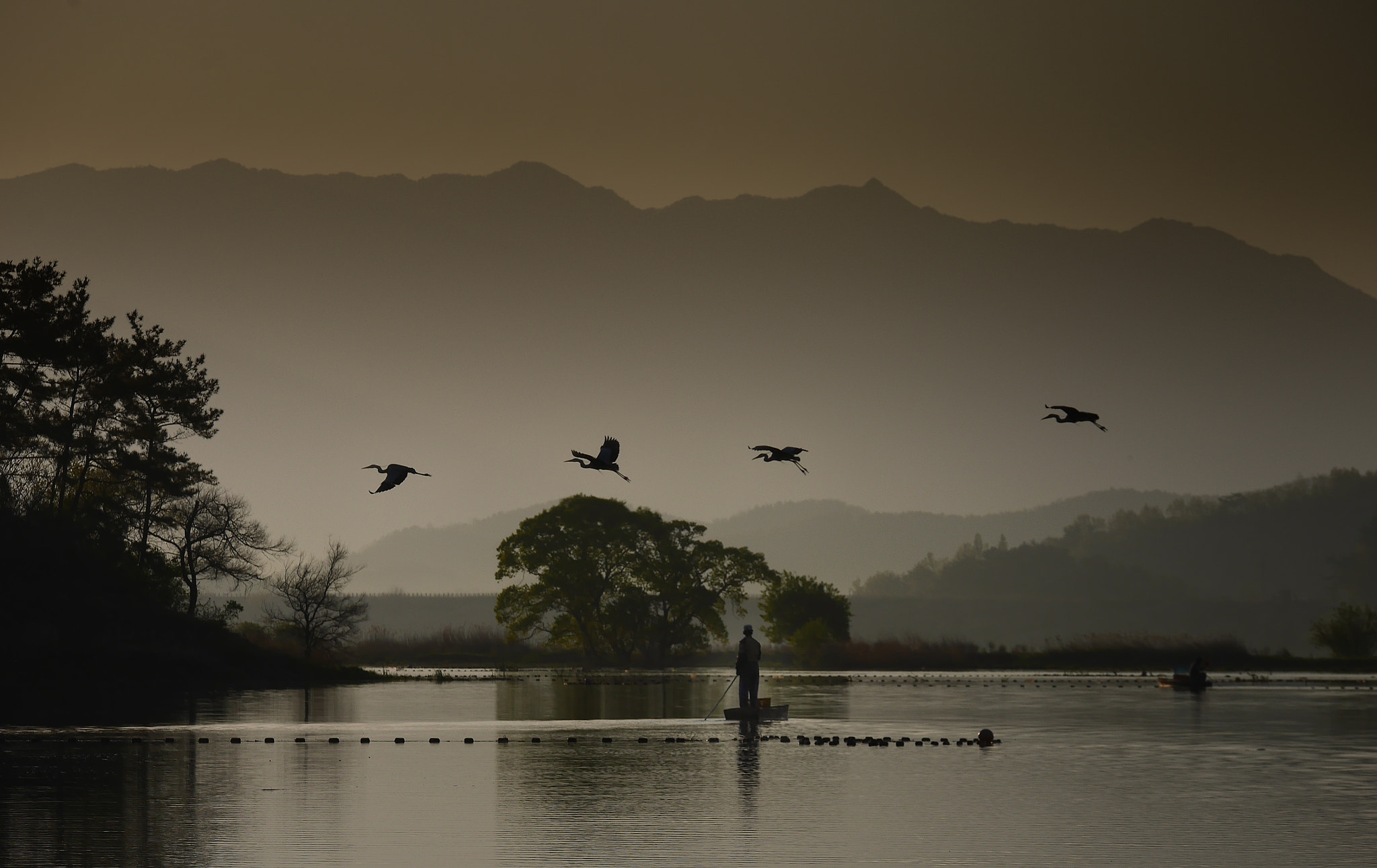 Panasonic Lumix G X Vario 35-100mm F2.8 OIS sample photo. Bird and fishermen photography