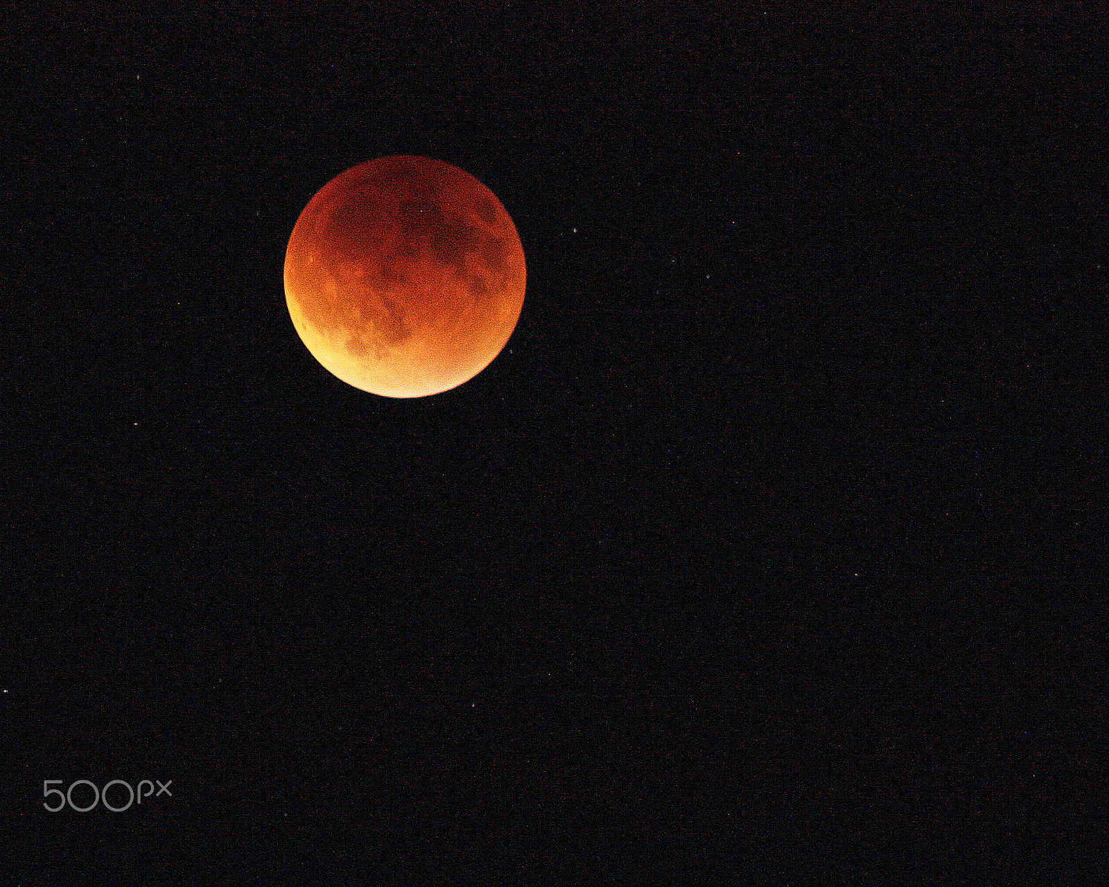 Canon EOS 450D (EOS Rebel XSi / EOS Kiss X2) + Canon EF 70-300mm F4-5.6 IS USM sample photo. Blood moon photography