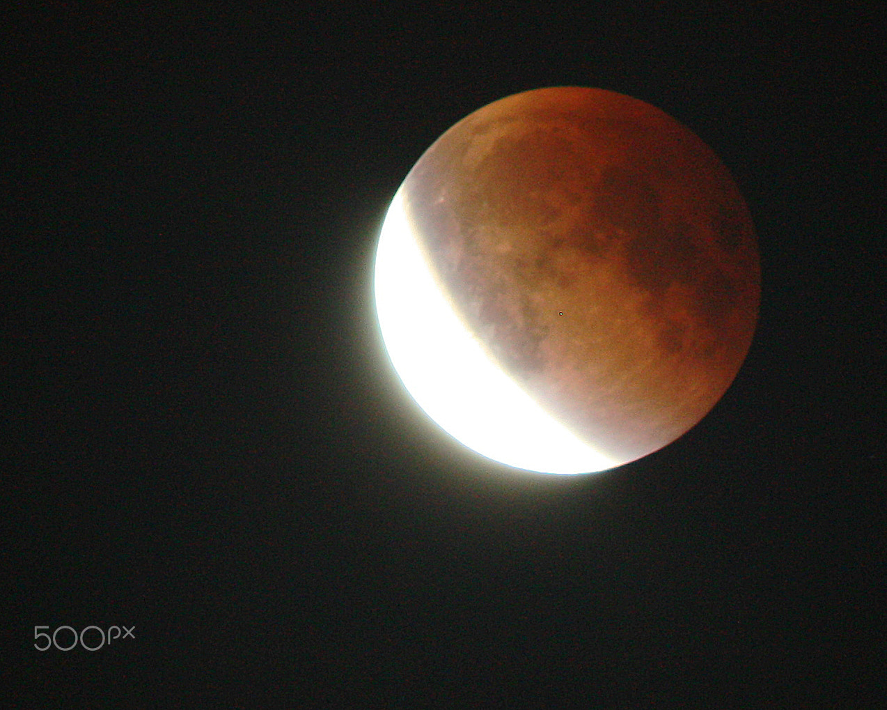 Canon EOS 450D (EOS Rebel XSi / EOS Kiss X2) sample photo. Blood moon eclipse photography